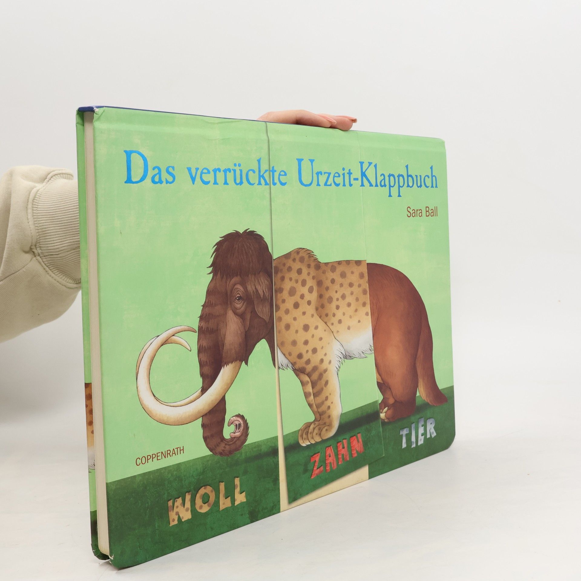 Sara Ball Das verrückte Urzeit-Klappbuch