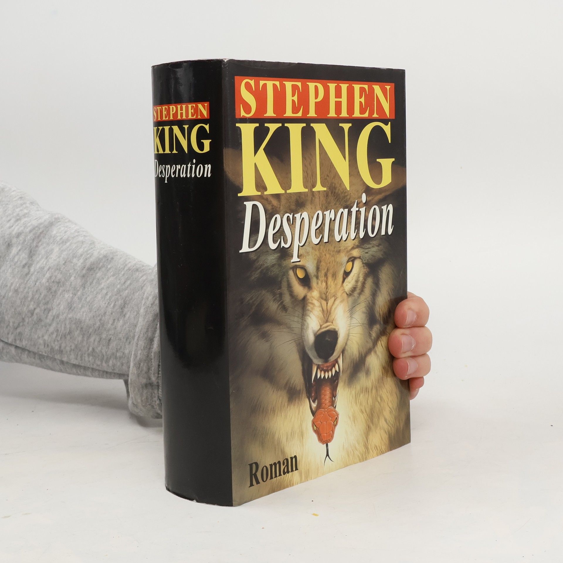 Stephen King Desperation