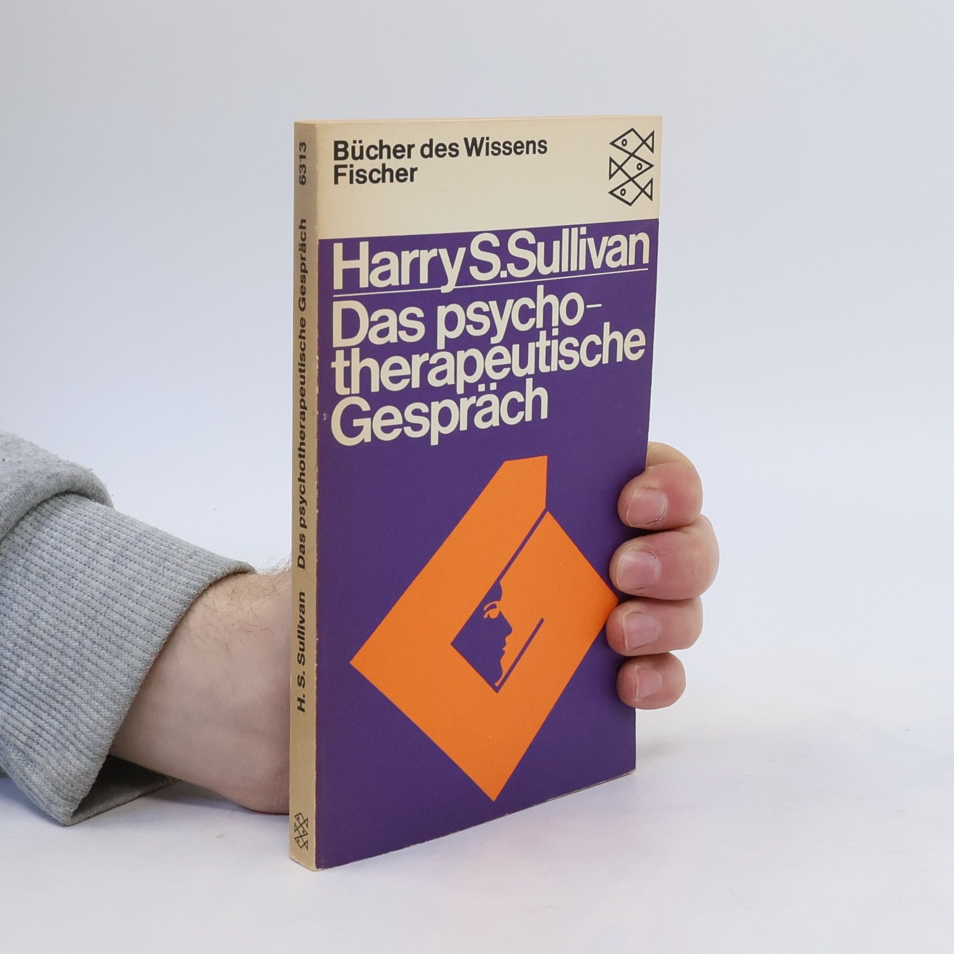 Harry Stack Sullivan Das psychotherapeutische Gespräch