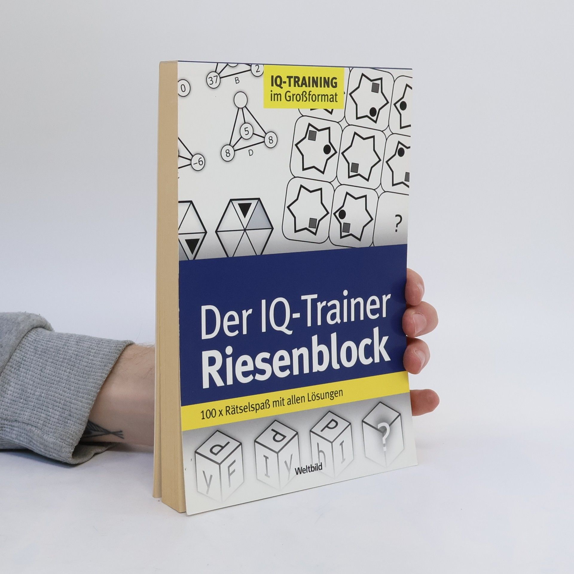 Autorenkollektiv Der IQ-Trainer Riesenblock