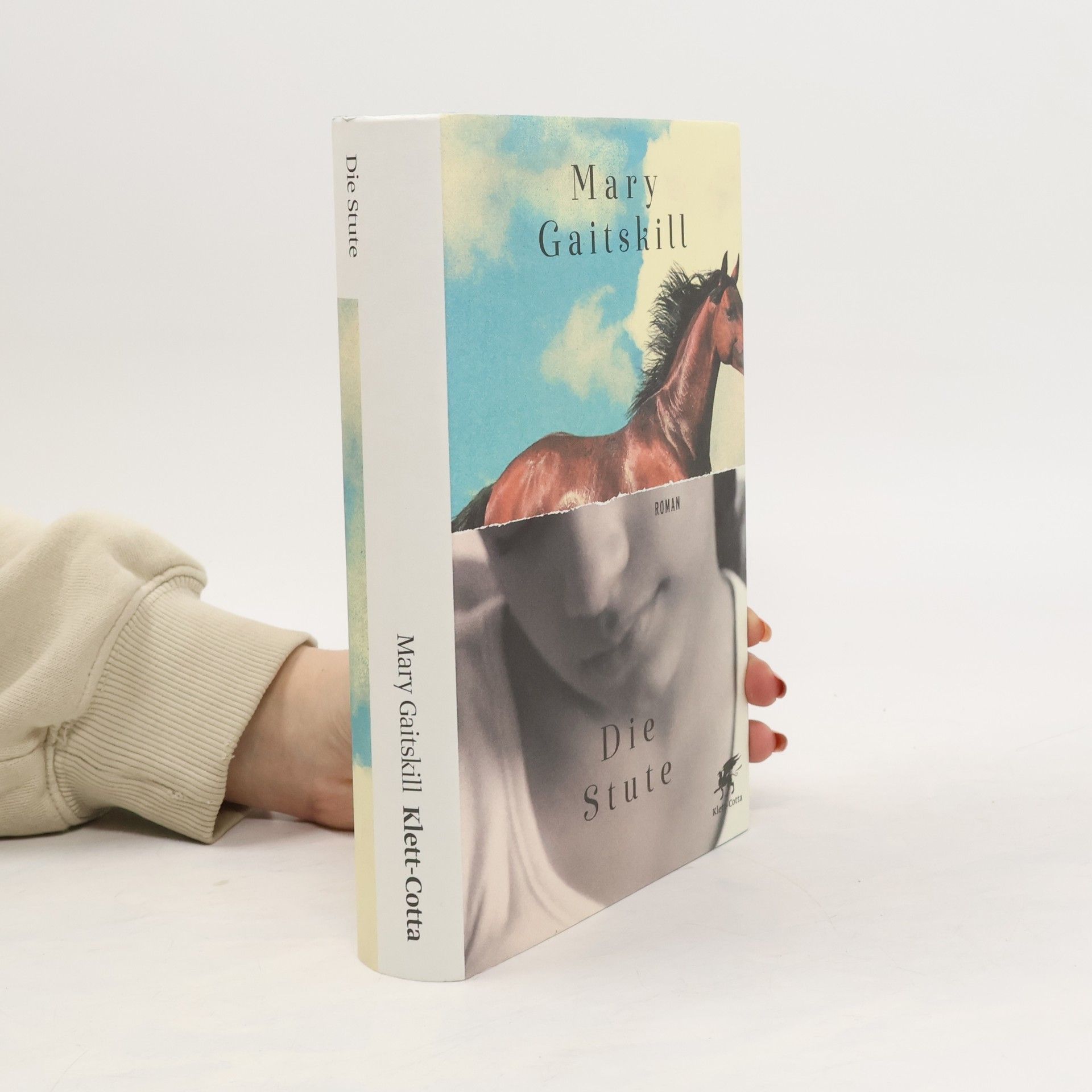 Mary Gaitskill Die Stute