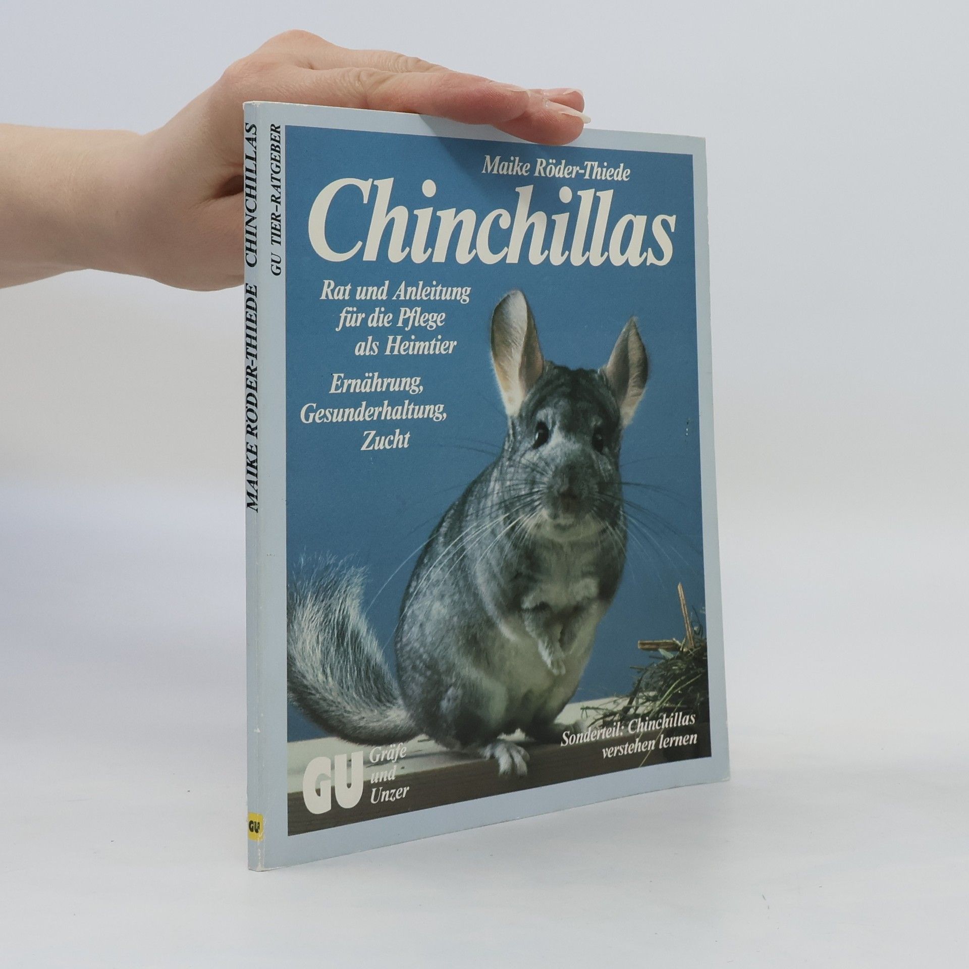 Maike RöderThiede Chinchillas
