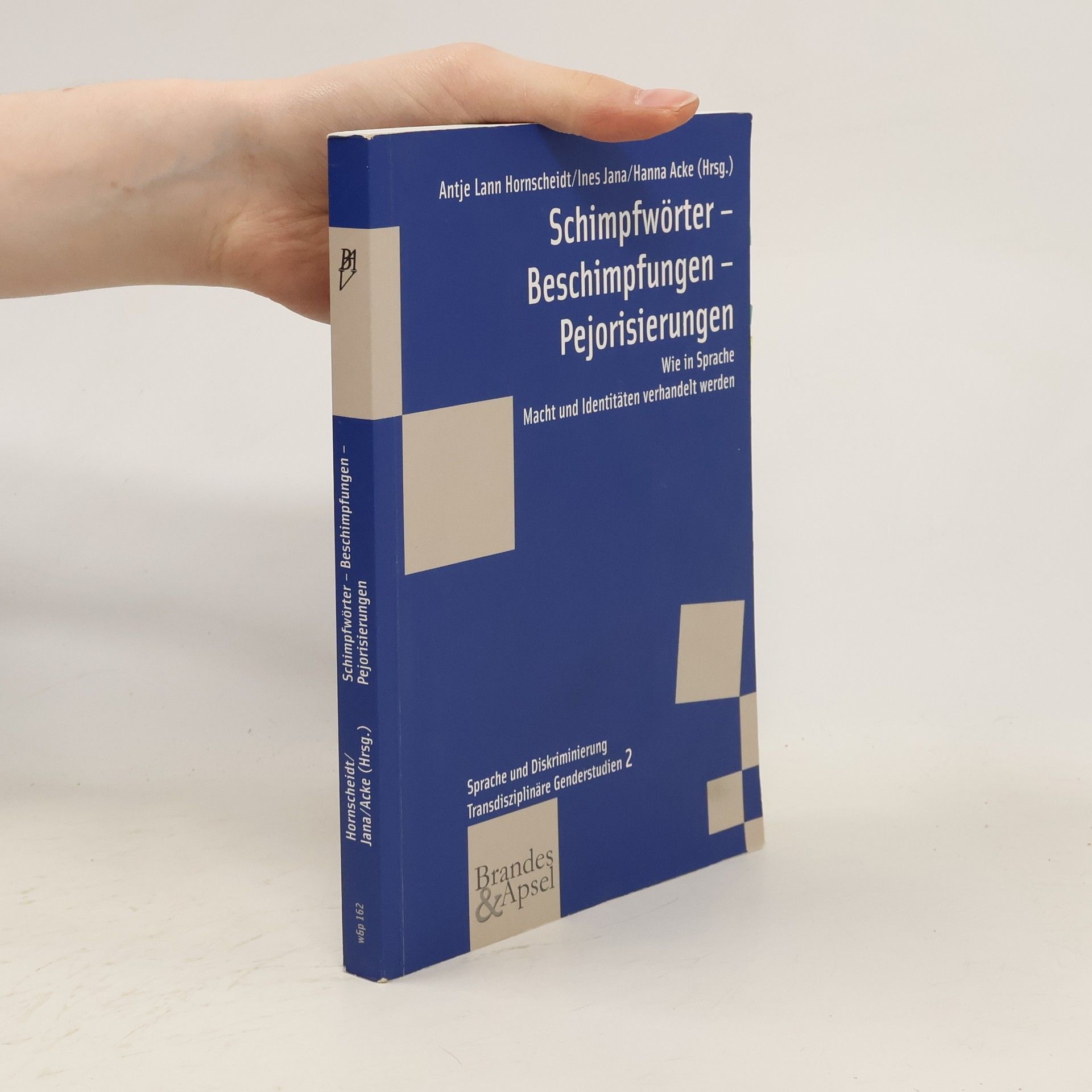 Lann Hornscheidt Schimpfwörter - Beschimpfungen - Pejorisierungen