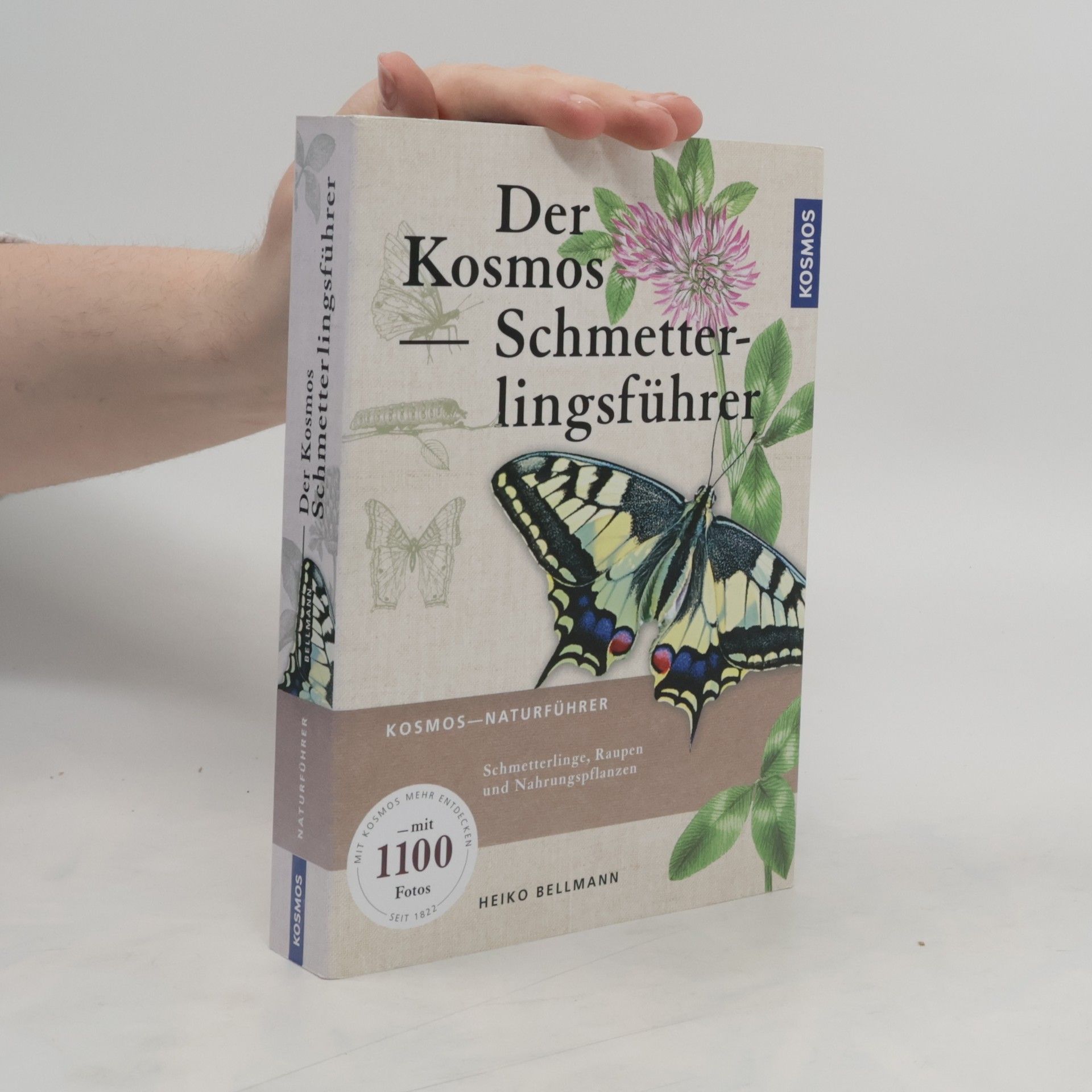 Heiko Bellmann Der Kosmos Schmetterlingsführer