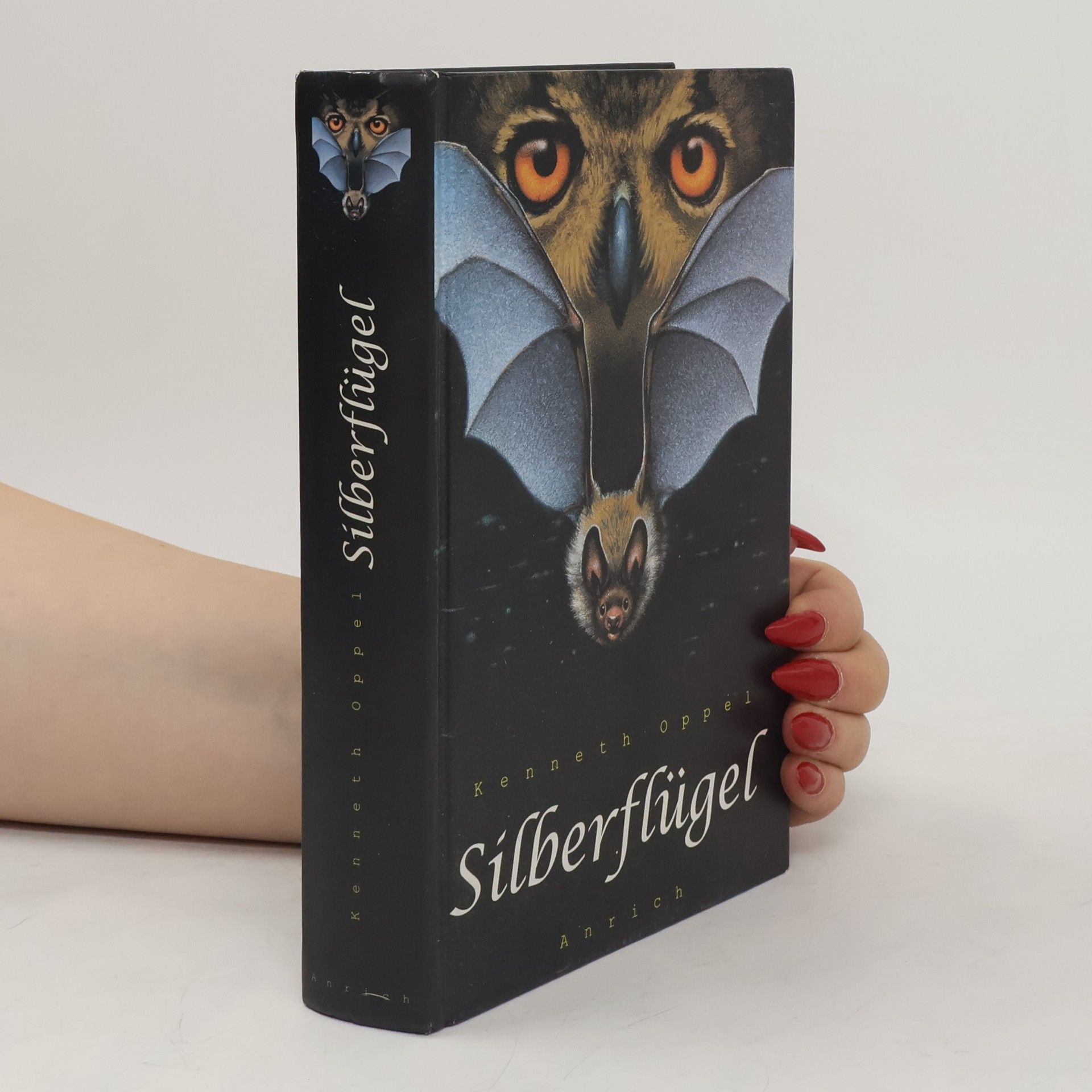 Kenneth Oppel Silberflügel