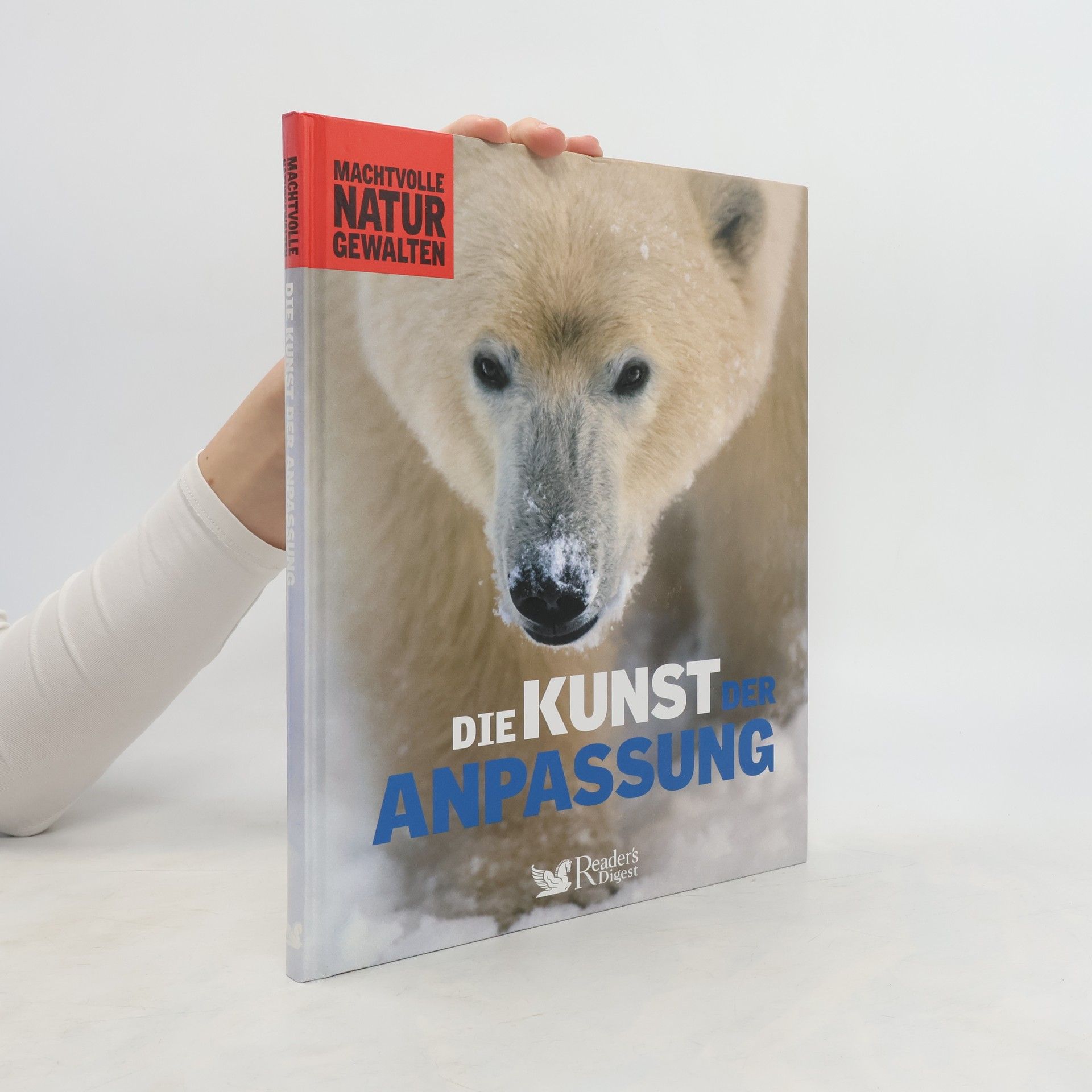 Falko Spiller Die Kunst der Anpassung