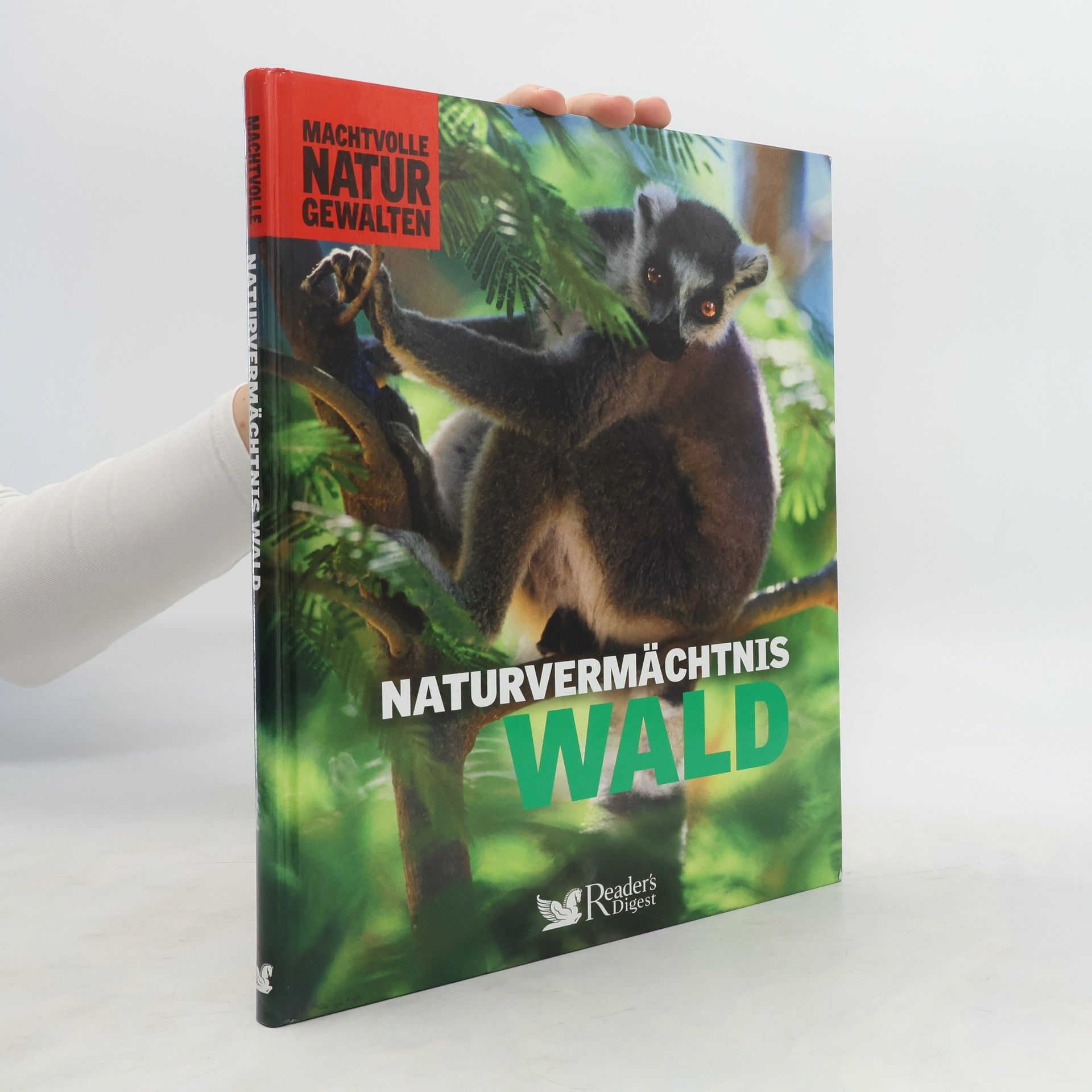 kolektiv Naturvermächtnis Wald