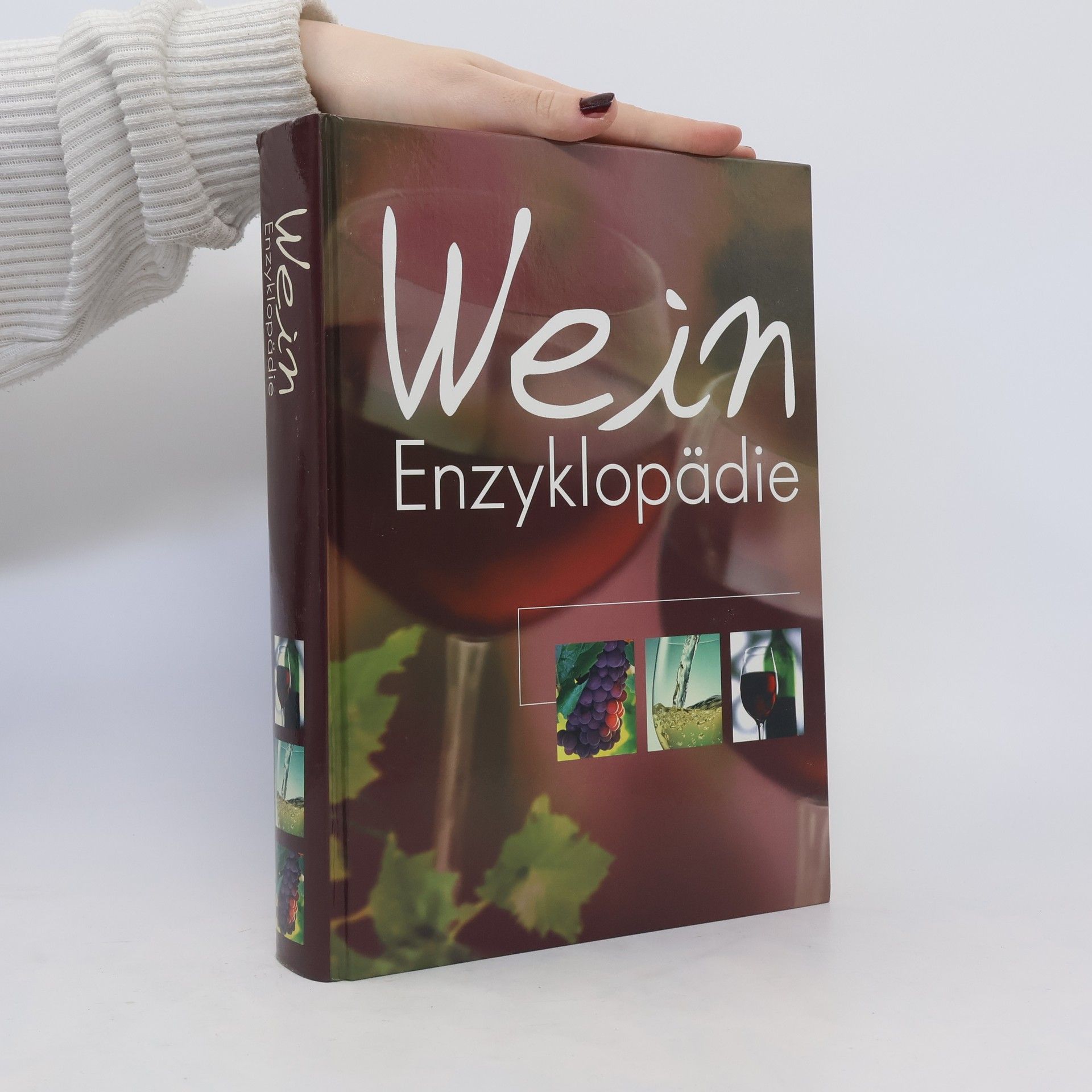 Autorenkollektiv Wein Enzyklopädie