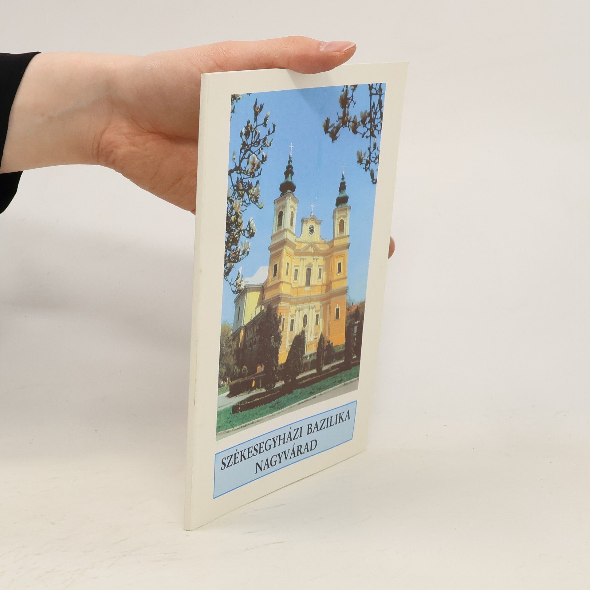 AA.VV. Székesegyházi Bazilika Nagyvárad