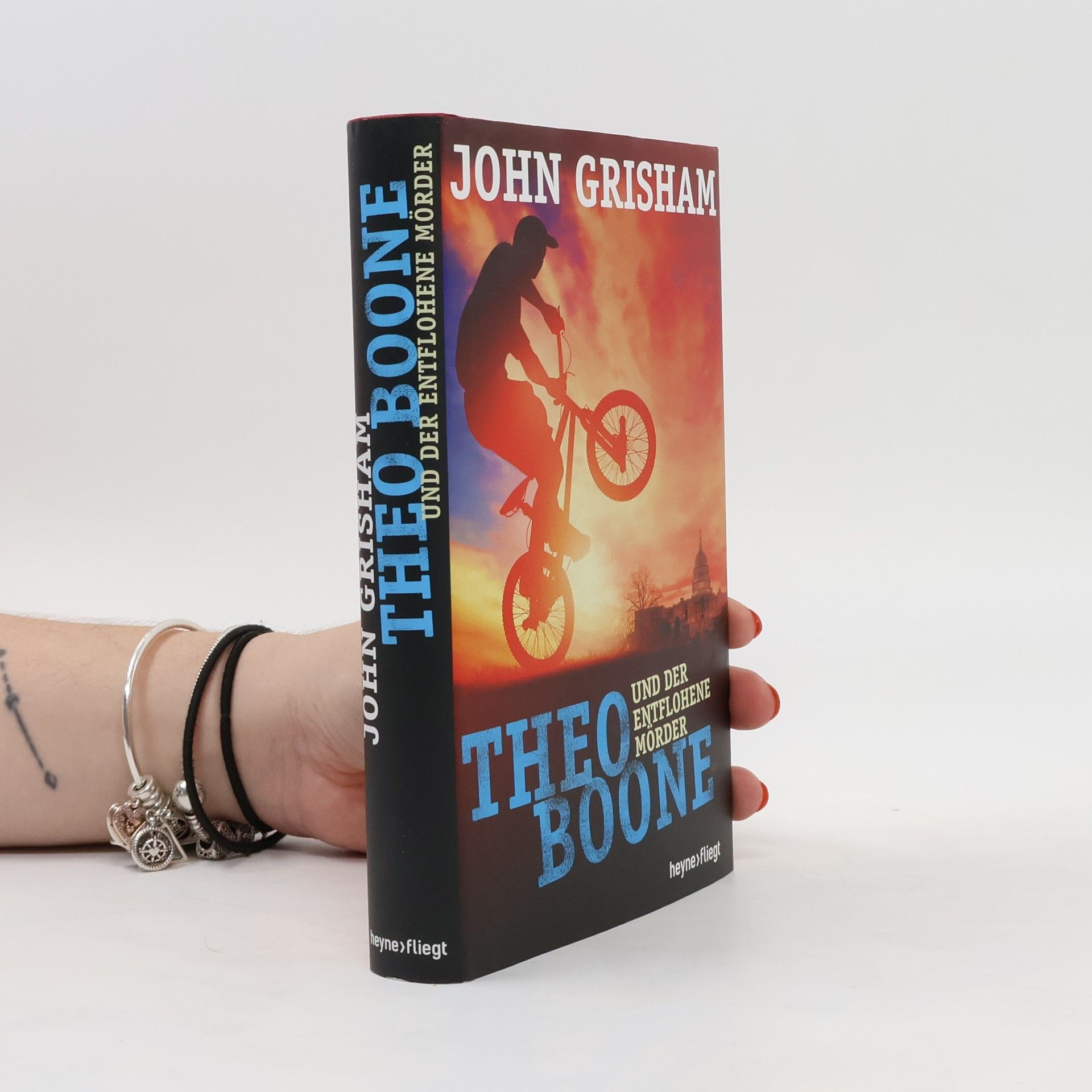 John Grisham Theo Boone - der entflohene Mörder