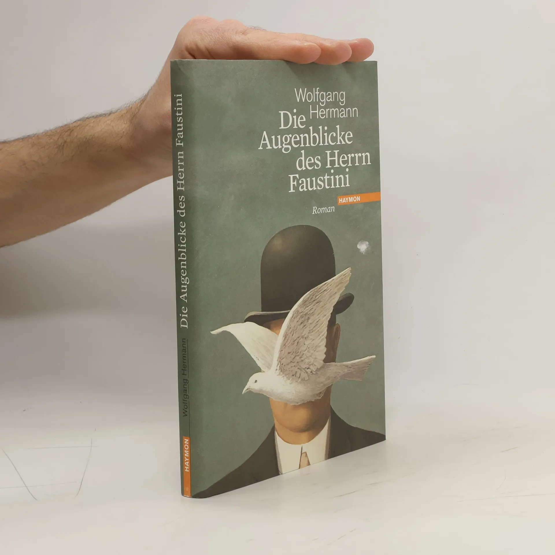 Die Augenblicke des Herrn Faustini | Buch | Wolfgang Hermann