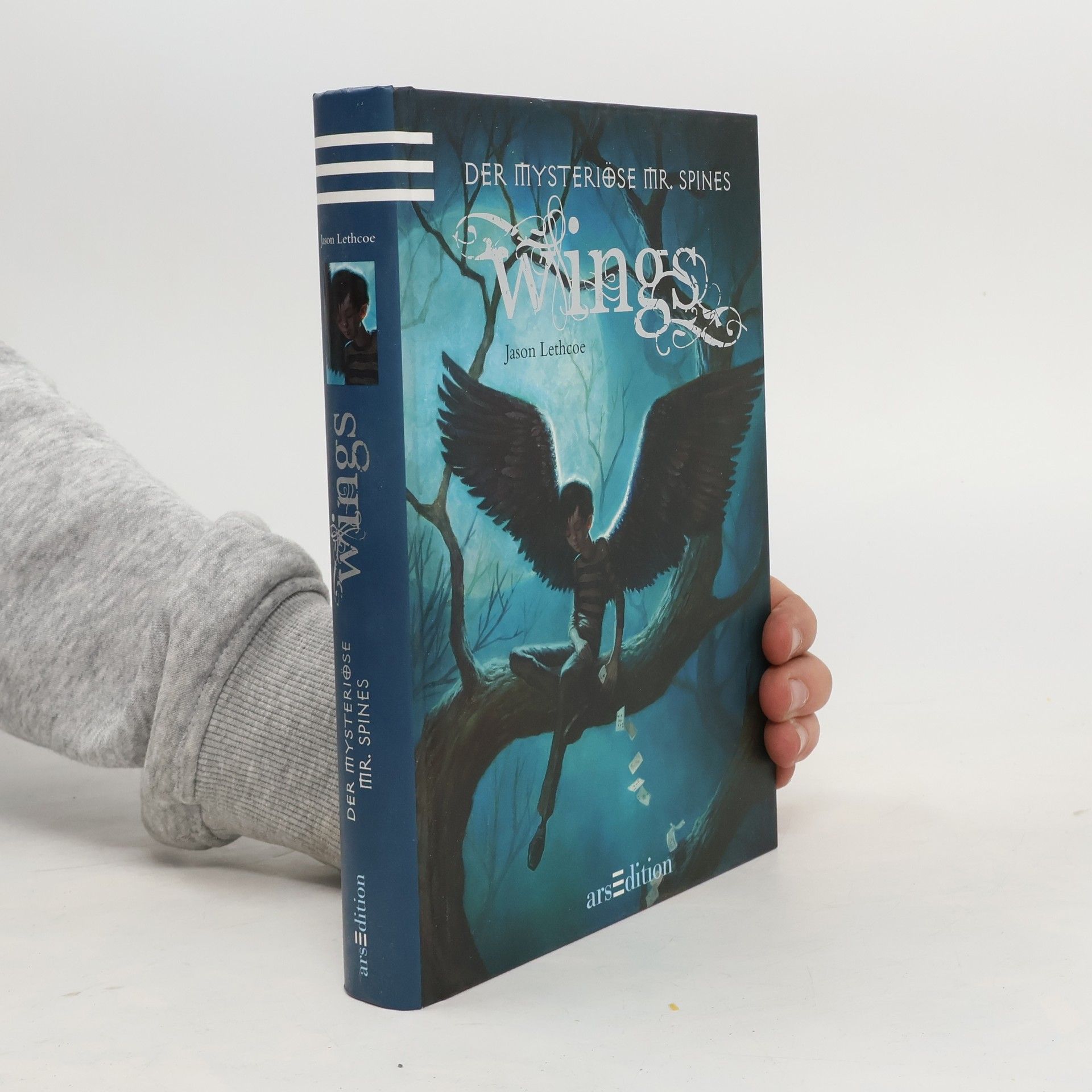 Jason Lethcoe Der mysteriöse Mr. Spines: Wings