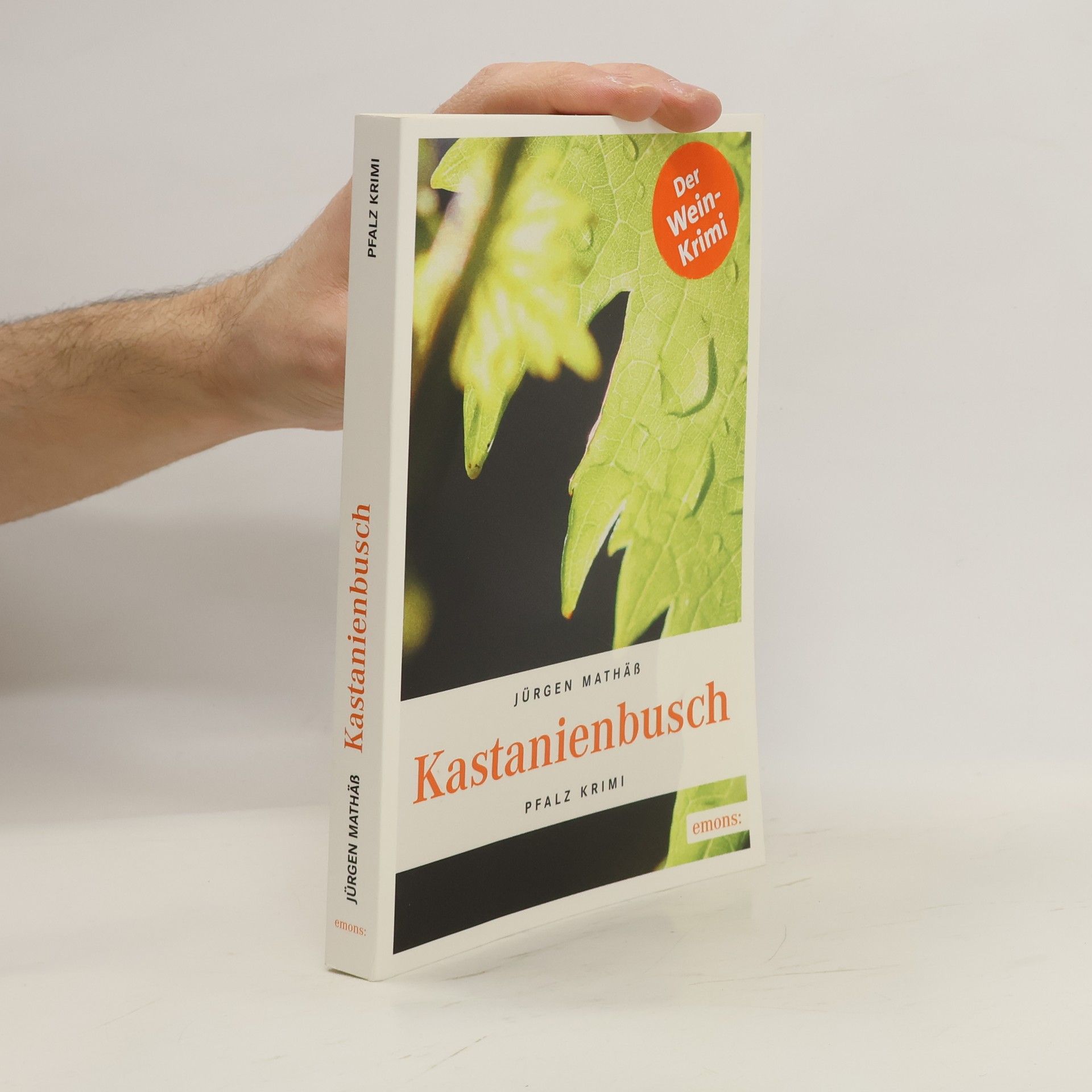 Jürgen Mathäß Kastanienbusch