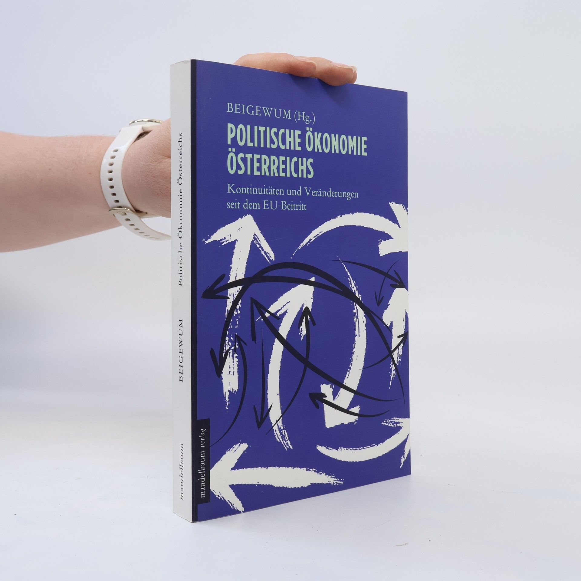Autorenkollektiv Politische Ökonomie Österreichs