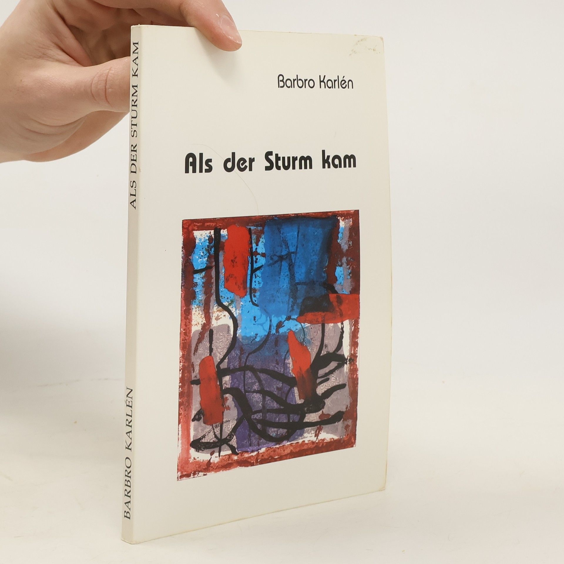 Barbro Karlén Als der Sturm kam