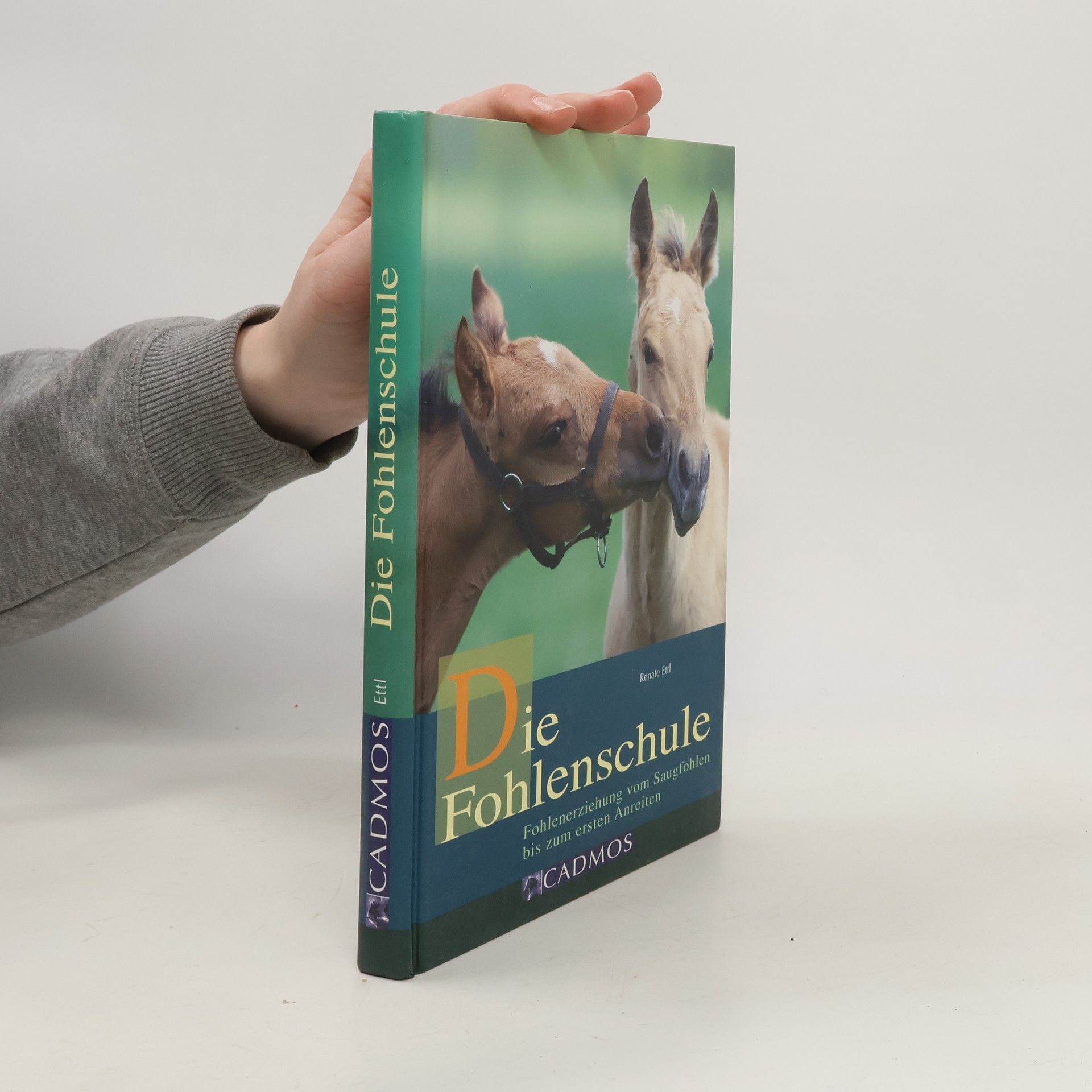 Renate Ettl Die Fohlenschule