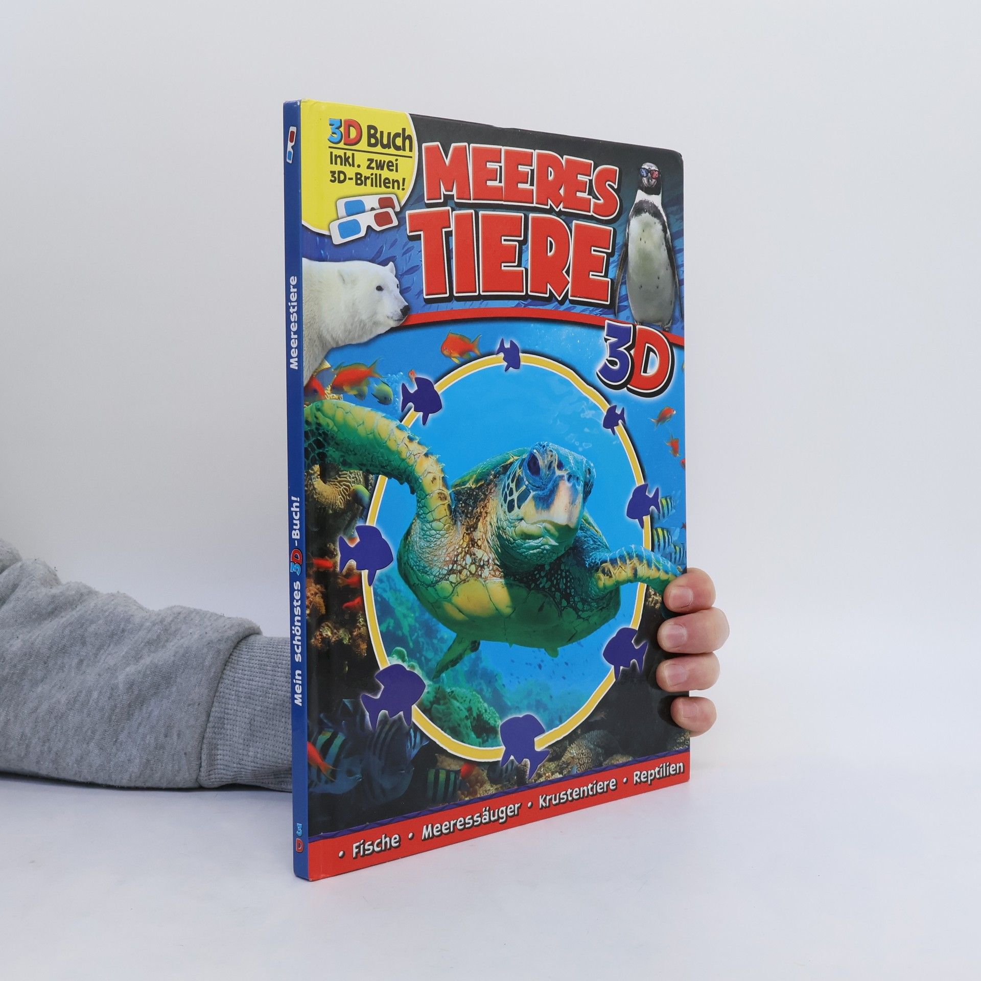 Autorenkollektiv Meeres Tiere 3D