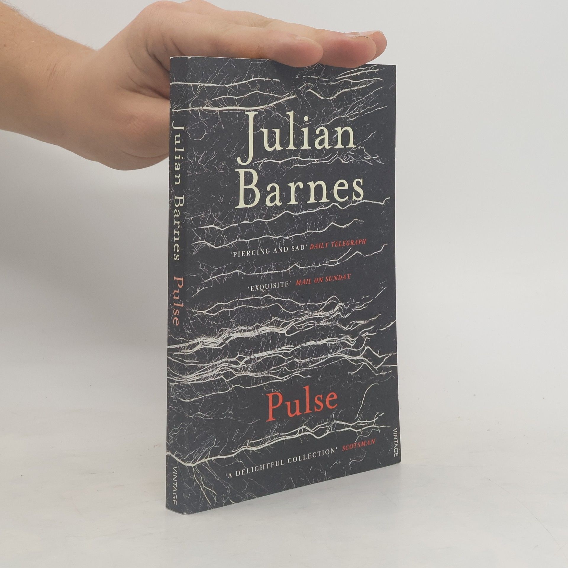 Julian Barnes Pulse