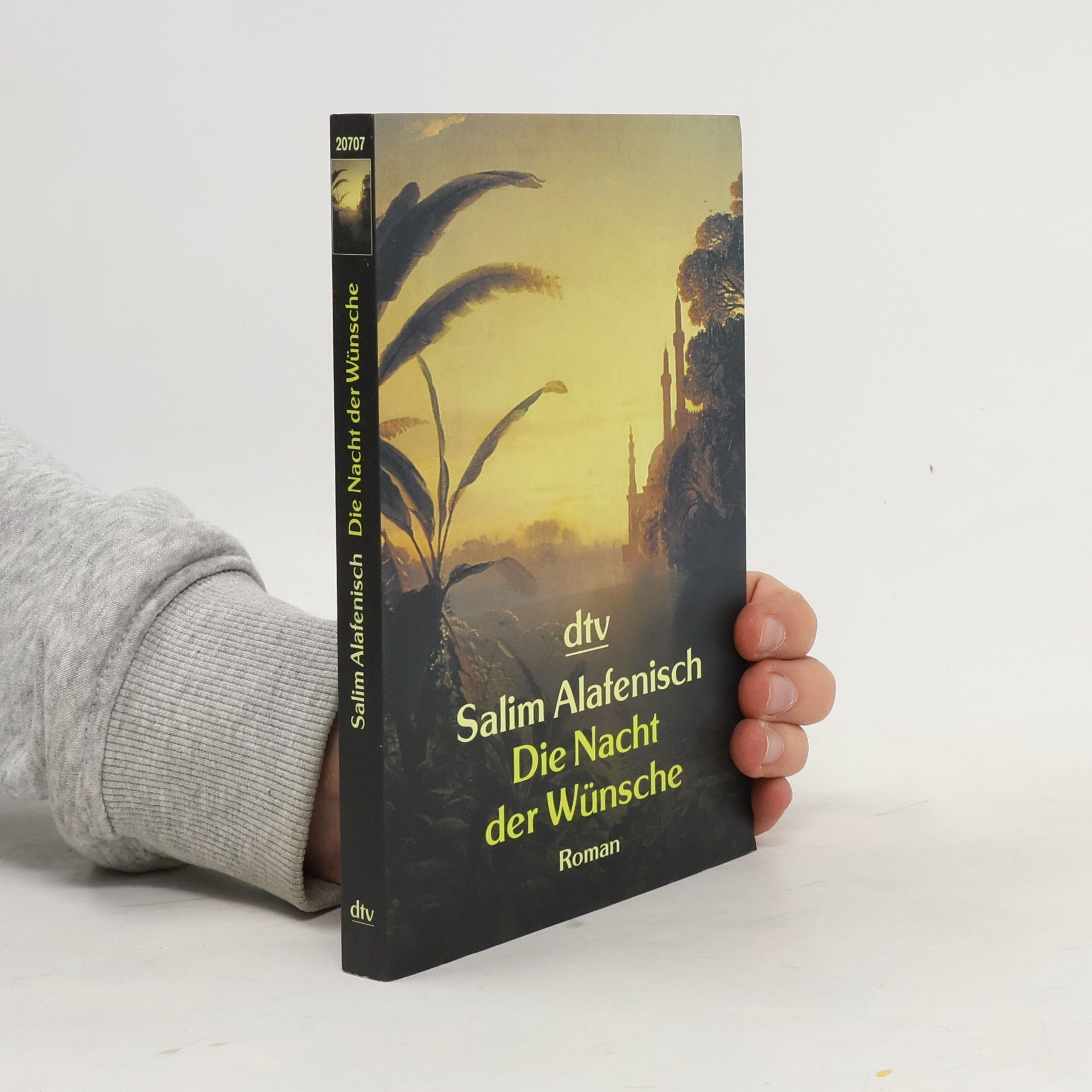 Salim Alafenisch Die Nacht der Wünsche