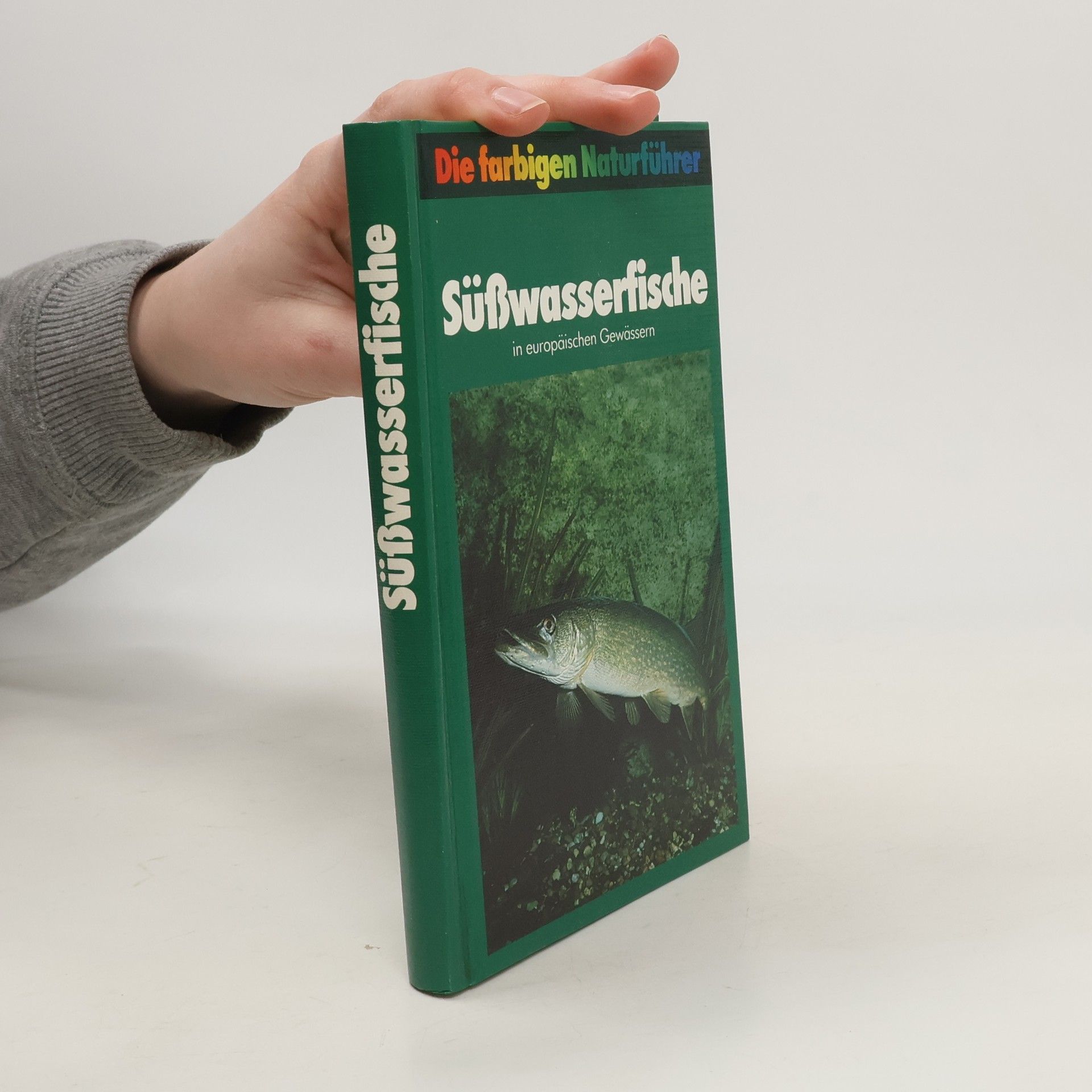 Autorenkollektiv Süßwasserfische in europäischen Gewässern