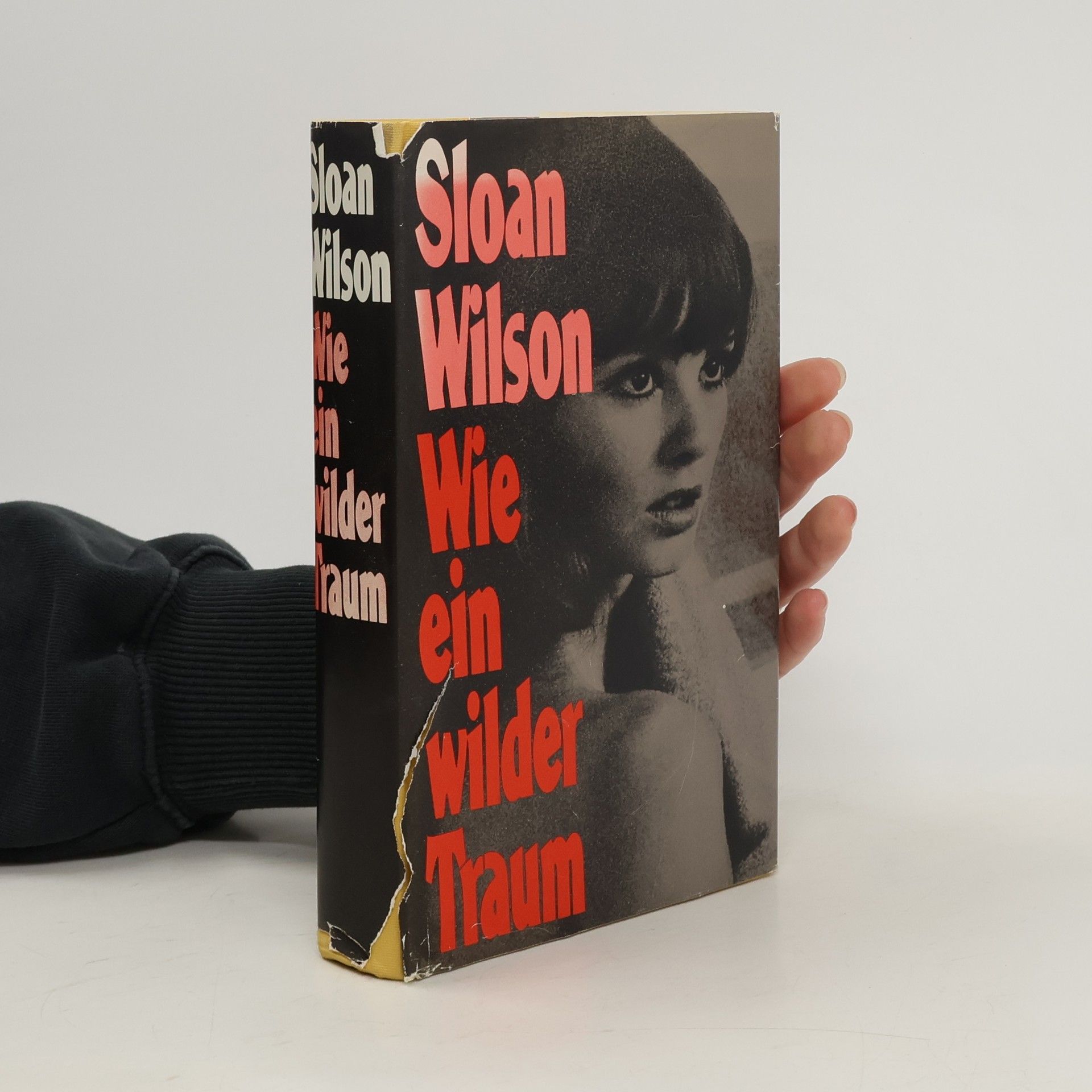 Sloan Wilson Wie ein wilder Traum