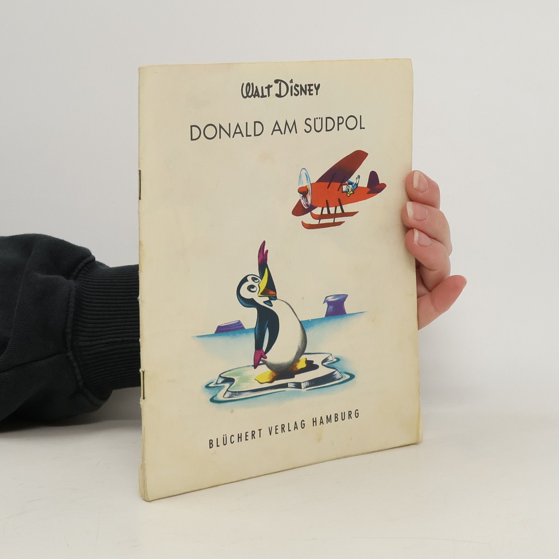 kolektiv Donald am Südpol