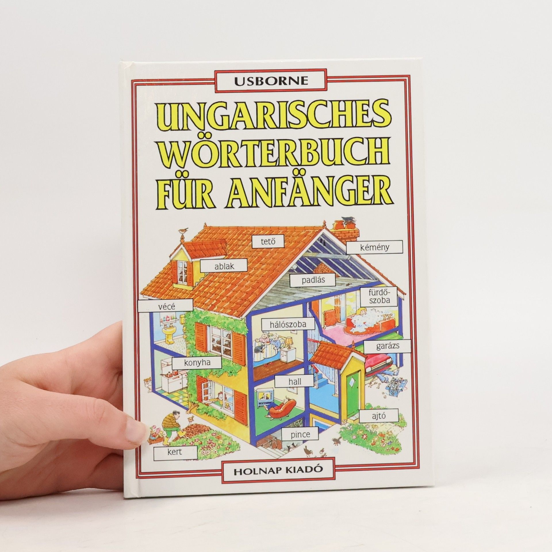 Helen Davies Ungarisches Wörterbuch für Anfänger