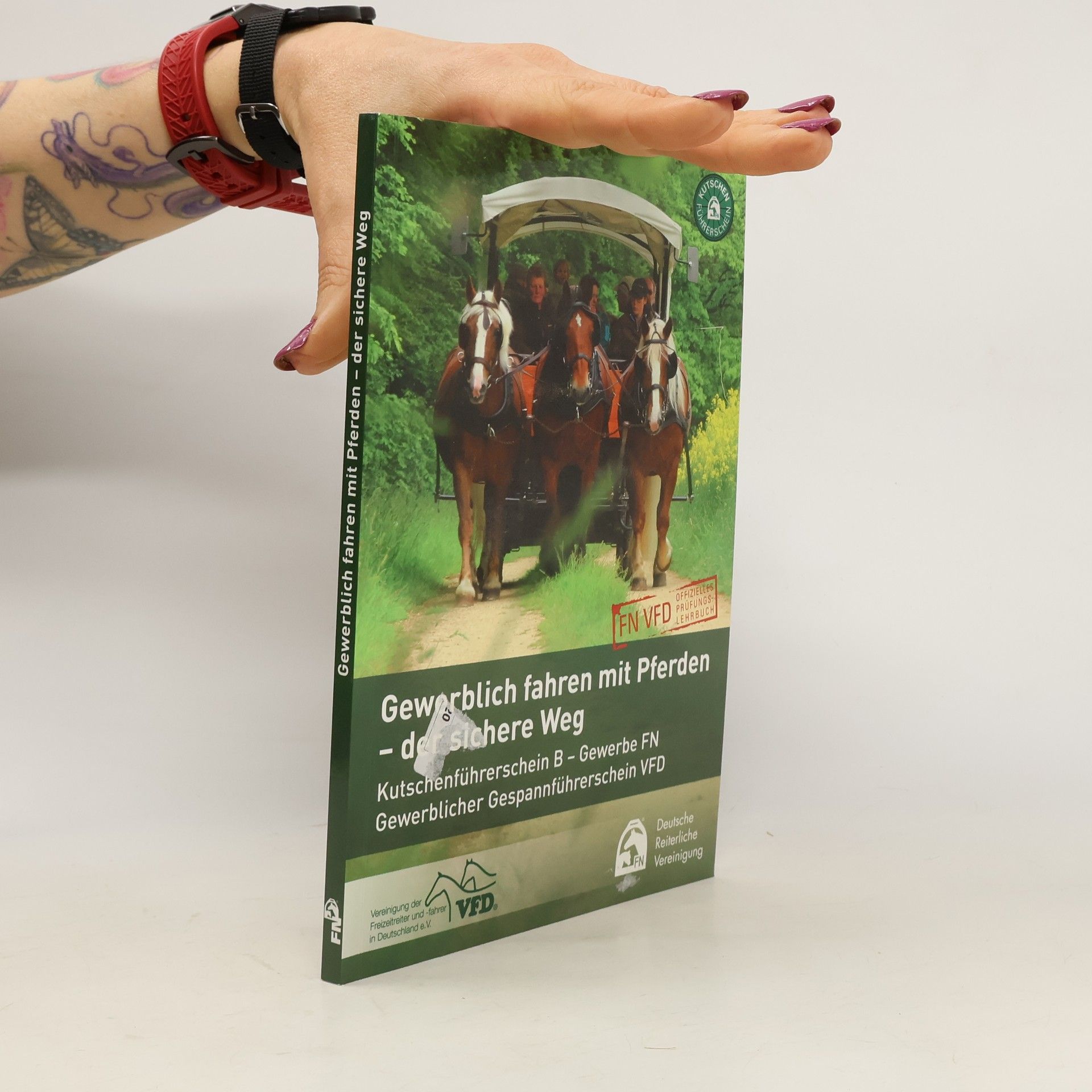 Autores varios Gewerblich Fahren mit Pferden - der sichere Weg