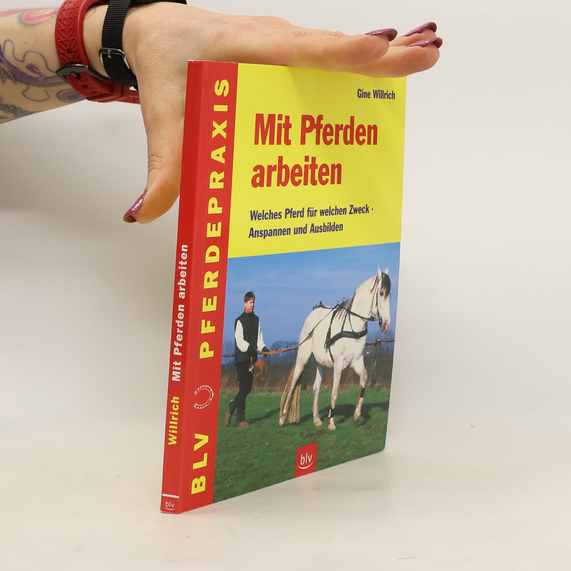 Gine Willrich Mit Pferden arbeiten