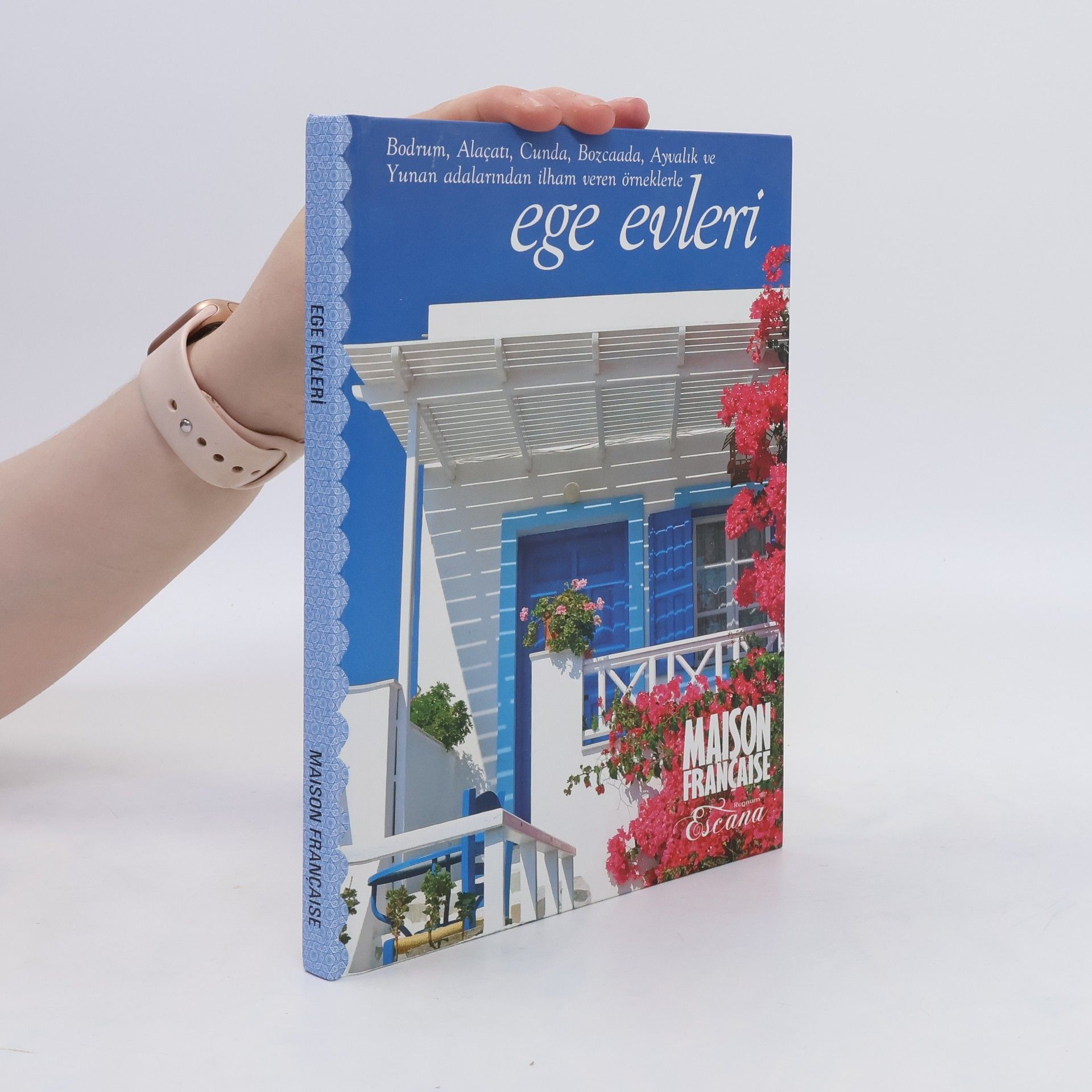 kolektiv Ege evleri