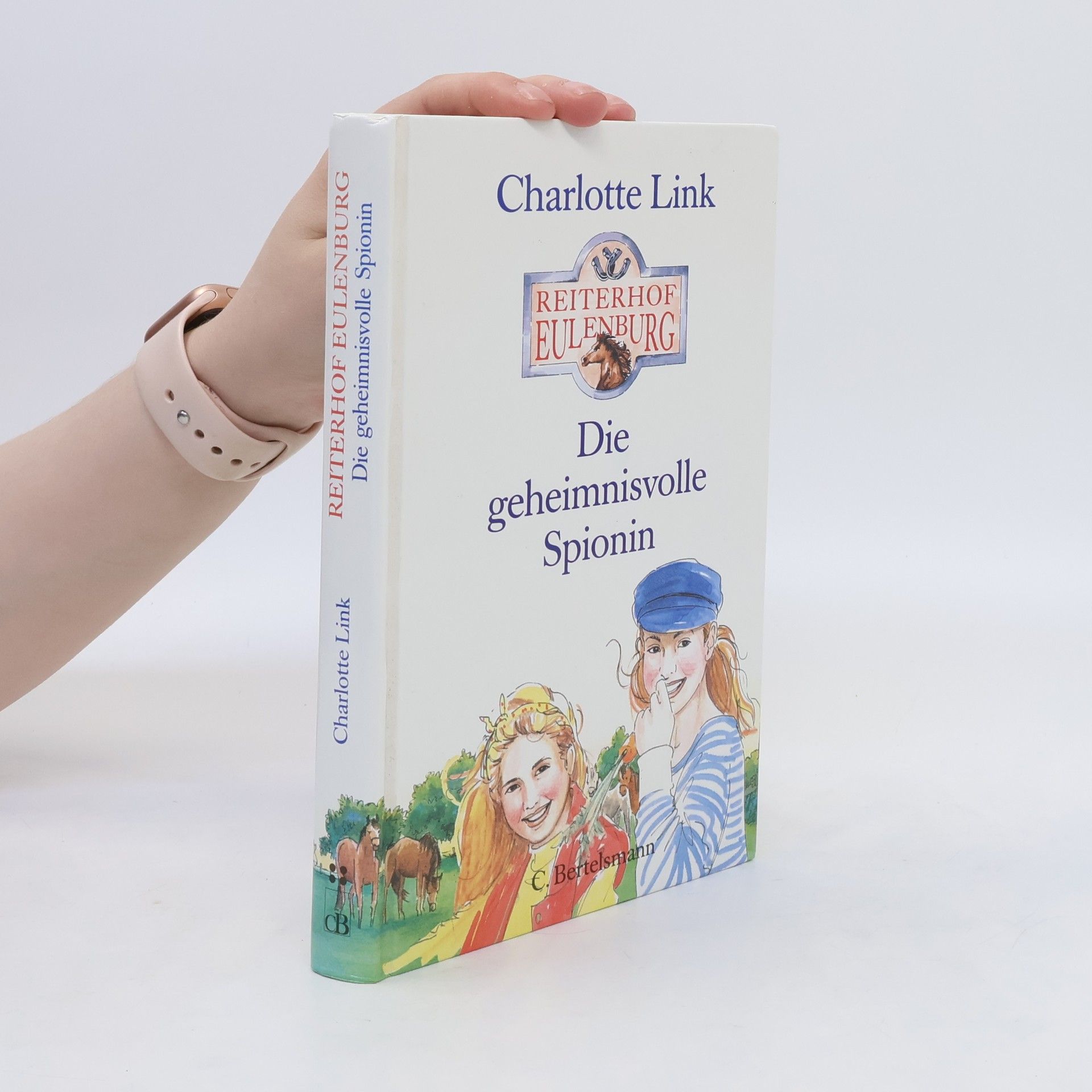 Charlotte Link Die geheimnisvolle Spionin