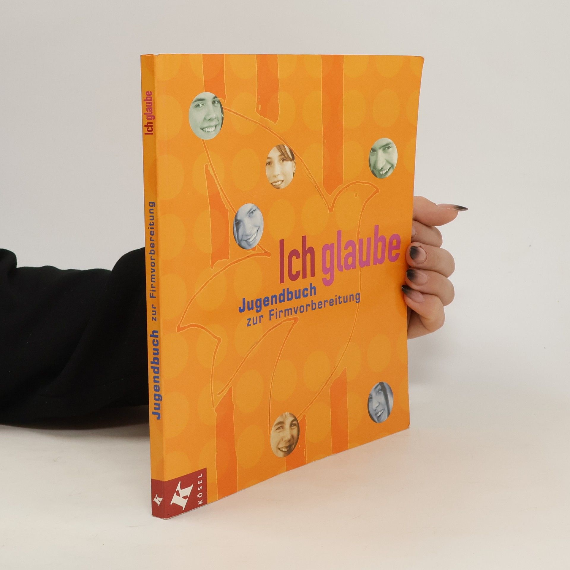 Claudia Hofrichter Jugendbuch zur Firmvorbereitung, Neuausg.