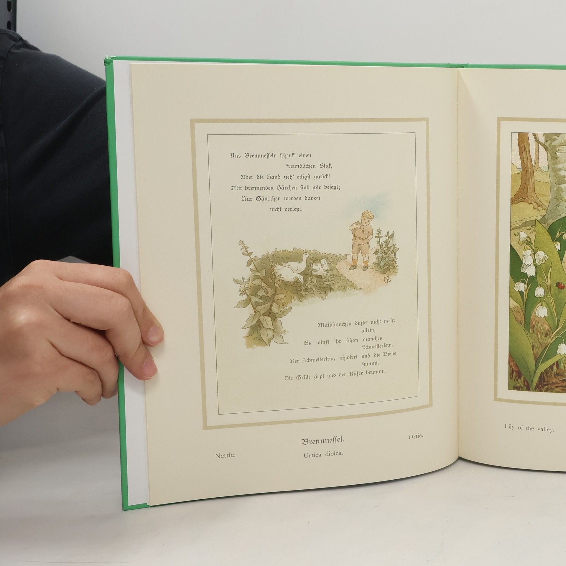 Autorenkollektiv Unter blühenden Blumen