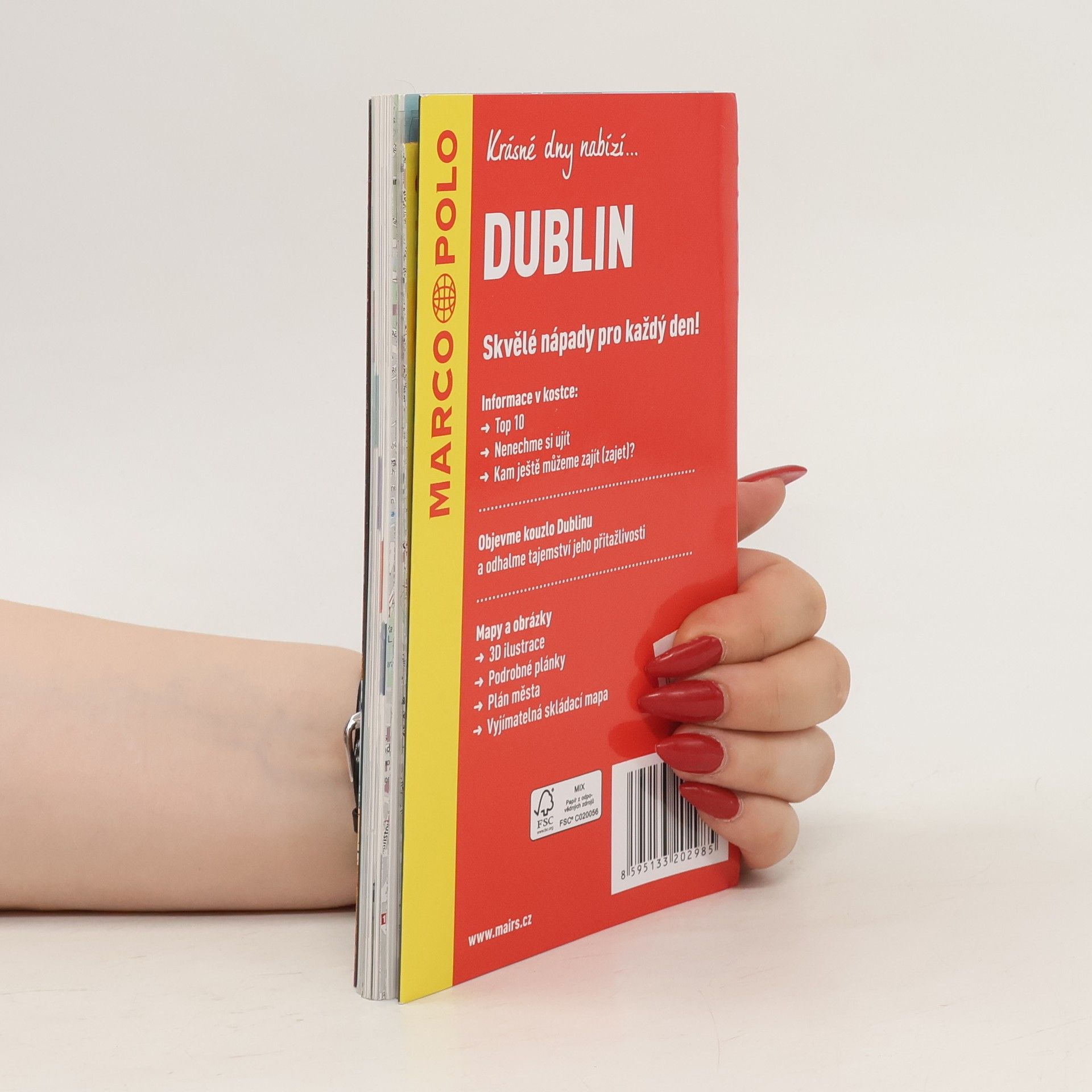 Auteurscollectief Dublin