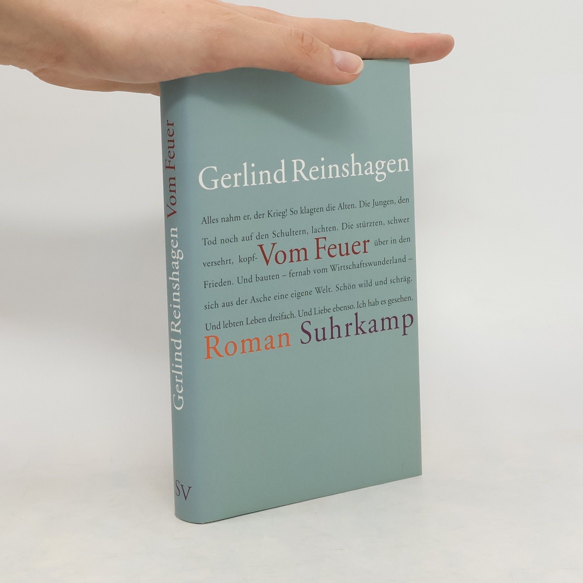 Gerlind Reinshagen Vom Feuer. Roman