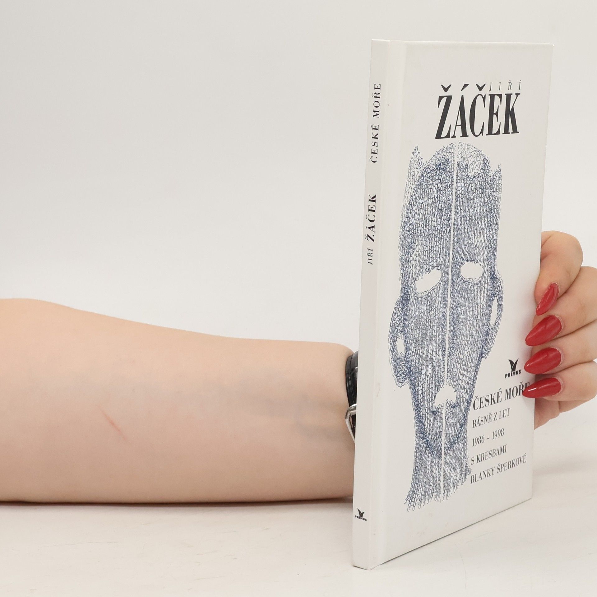 Jiří Žáček České moře