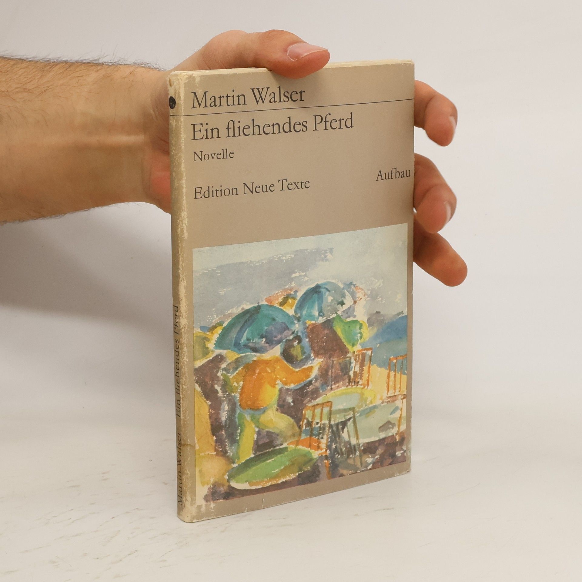 Martin Walser Ein fliehendes Pferd