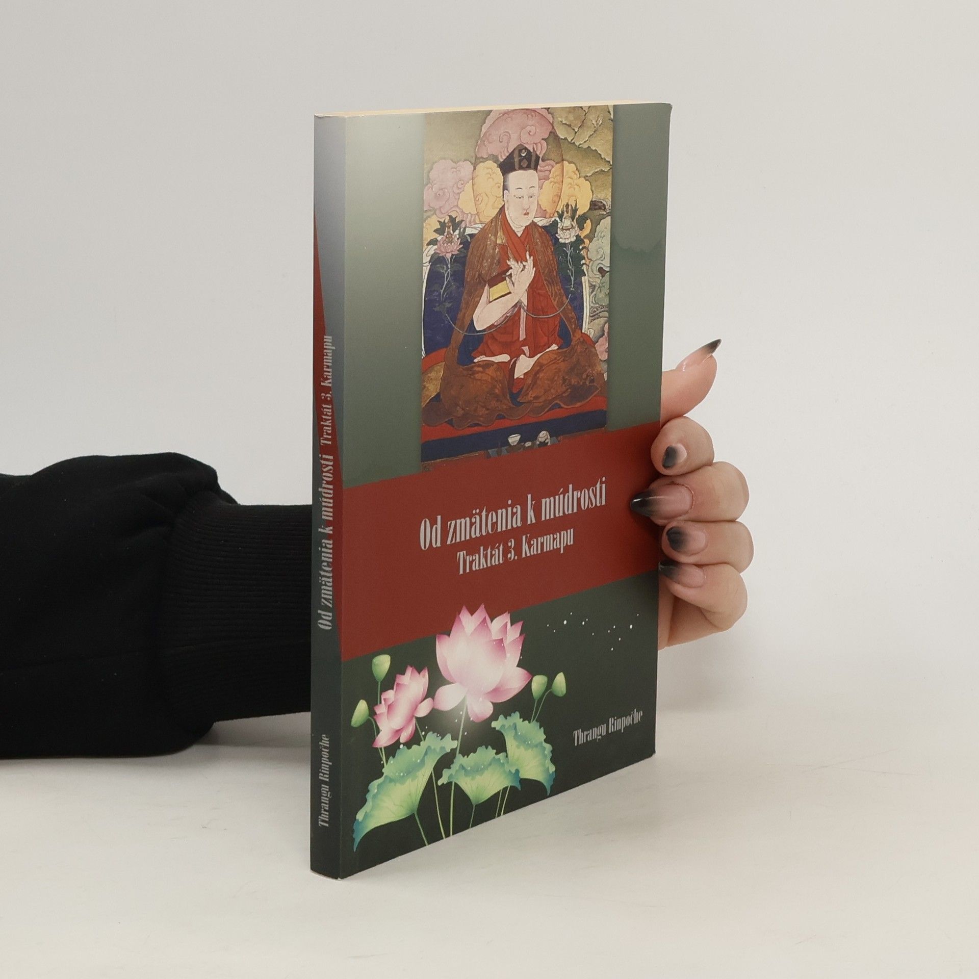 Thrangu Rinpočche Od zmätenia k múdrosti. Traktát 3. Karmapu