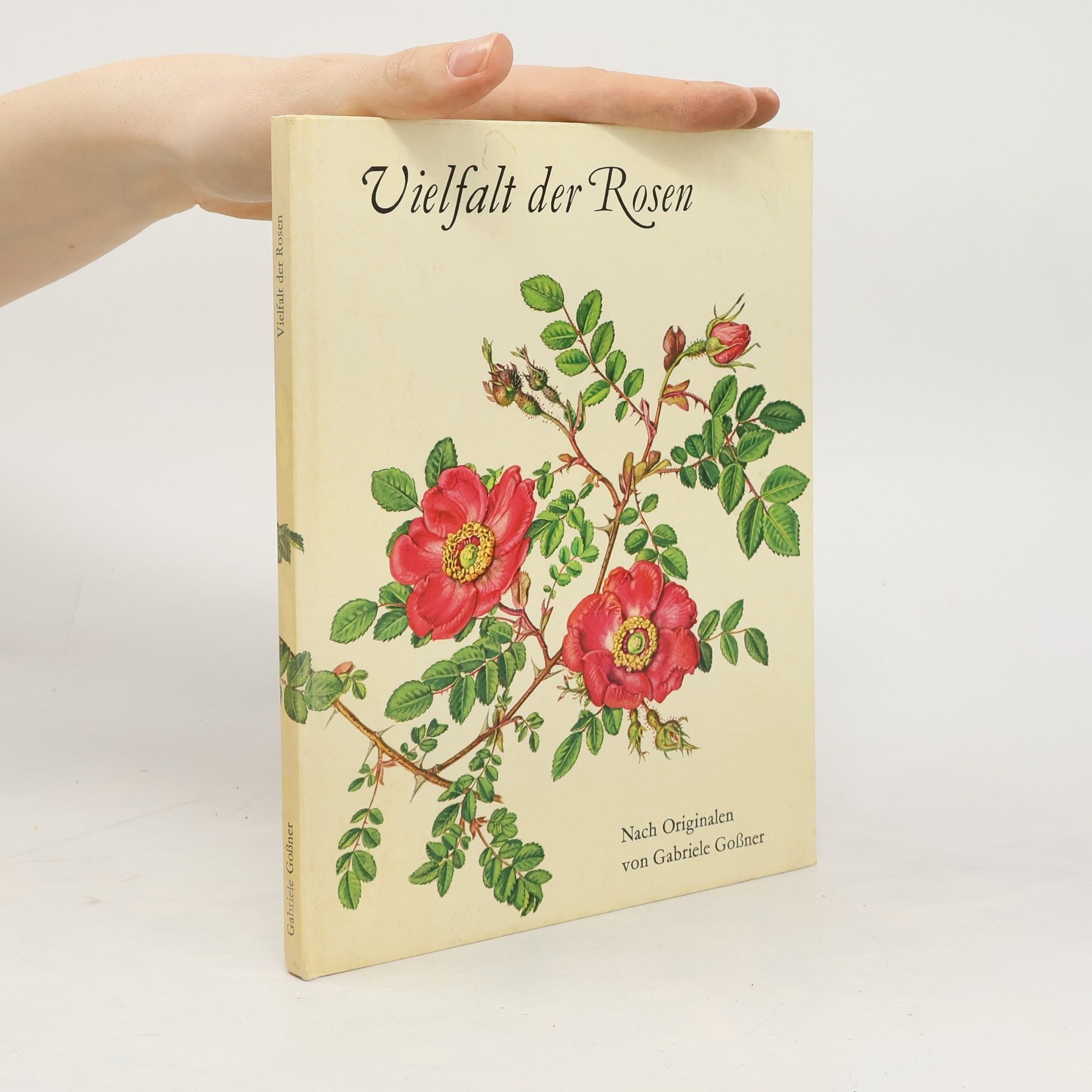 Grabriele Großner Vielfalt der Rosen