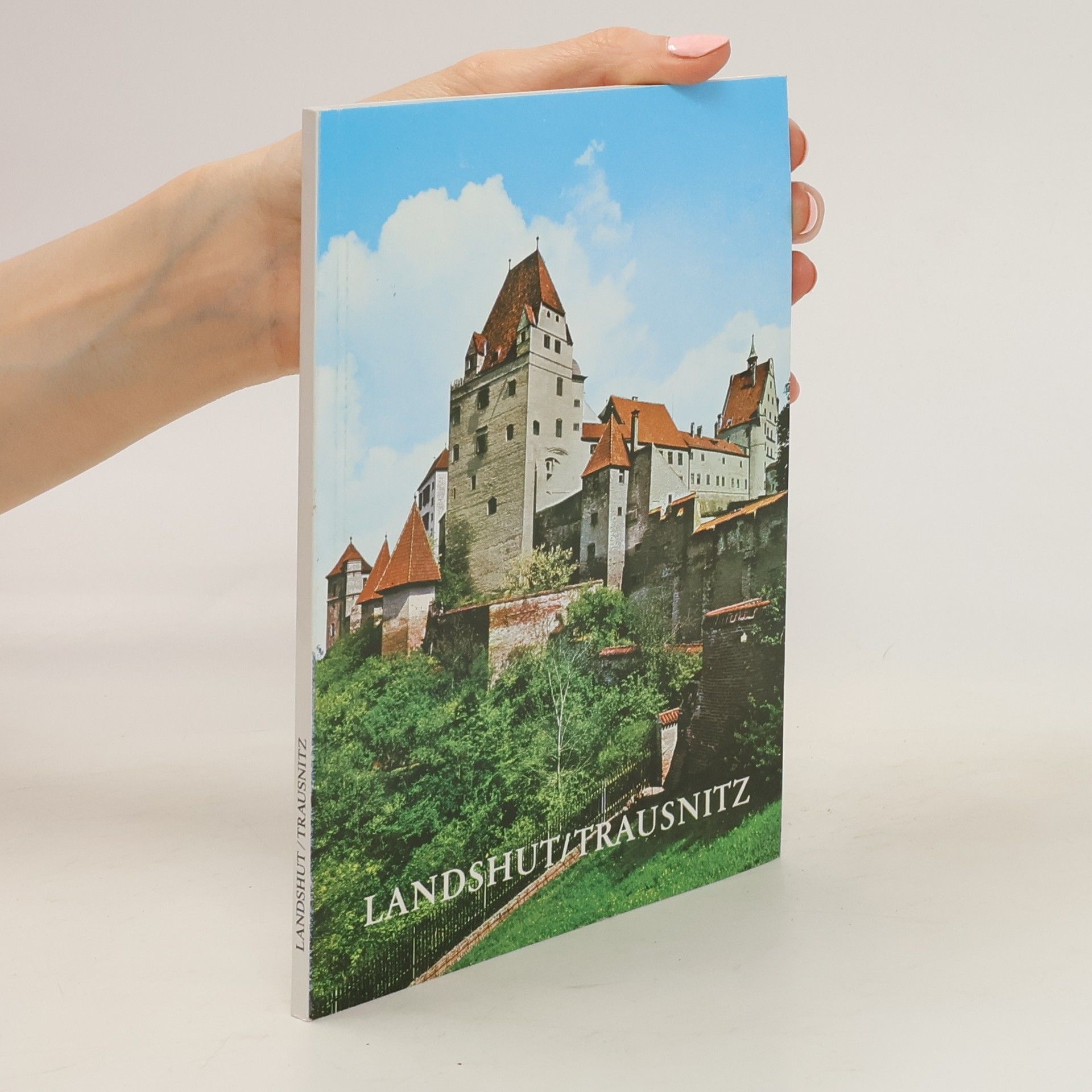 Kolektiv autorů Landshut. Trausnitz
