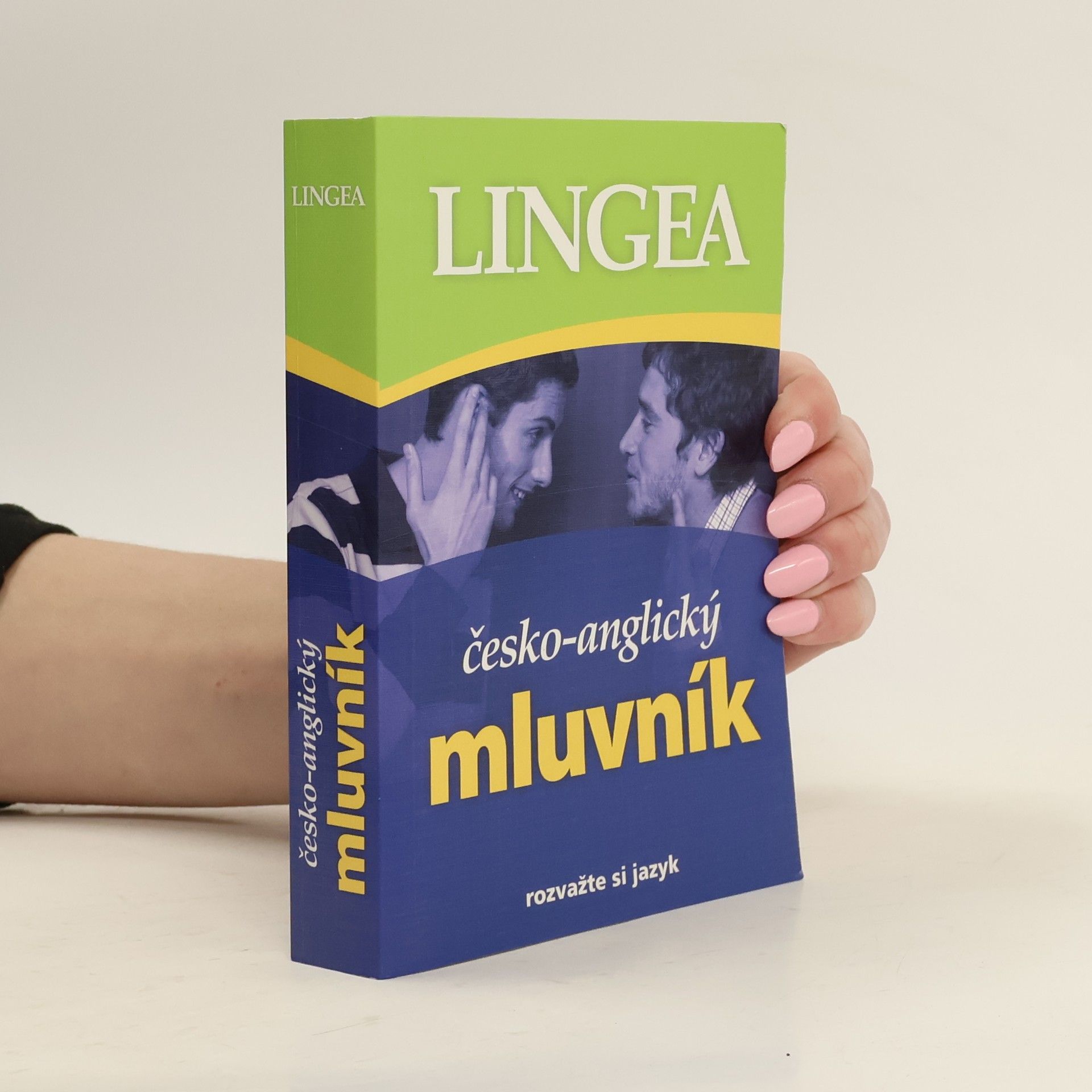 Autorenkollektiv Česko-anglický mluvník