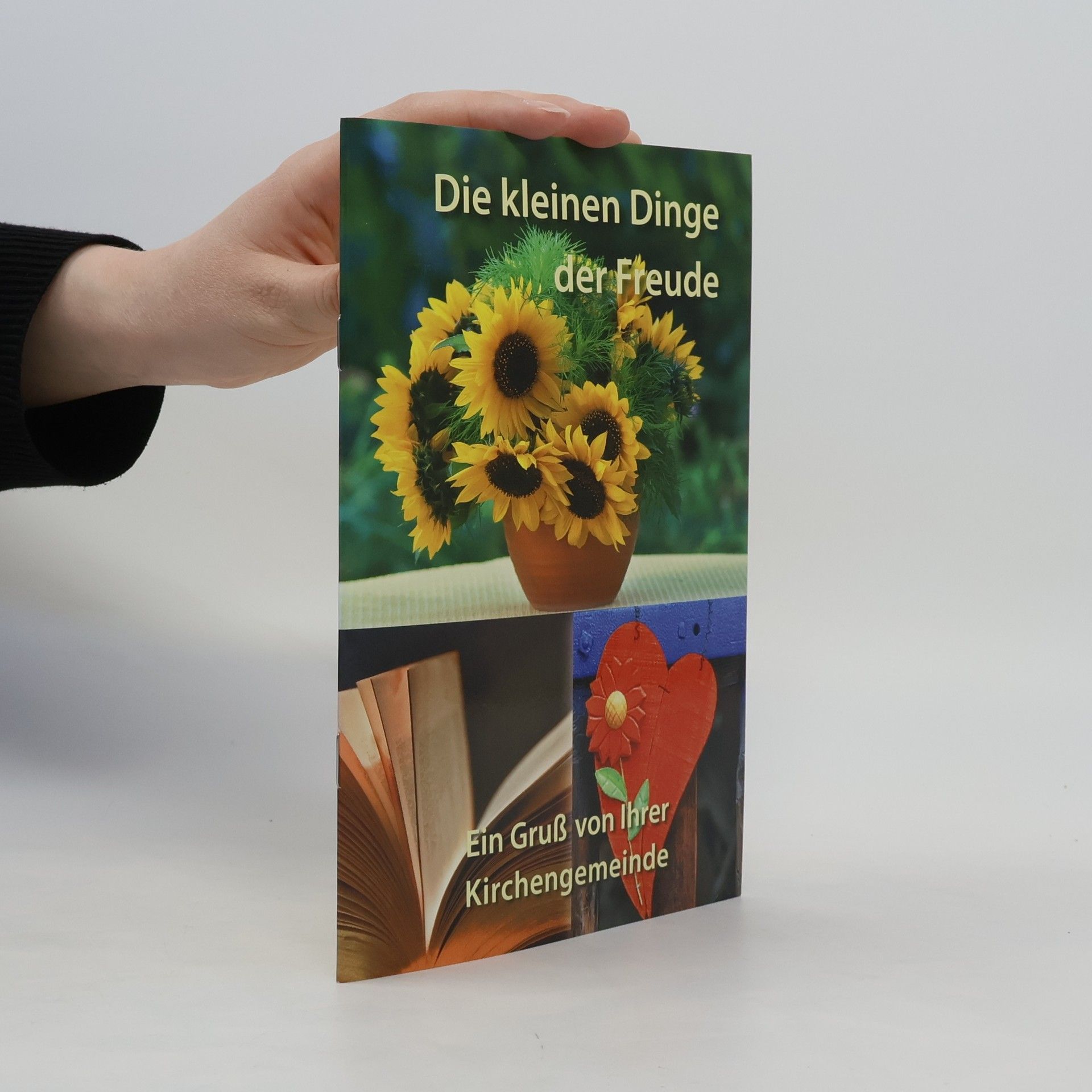 Autorenkollektiv Die kleinen Dinge der Freude