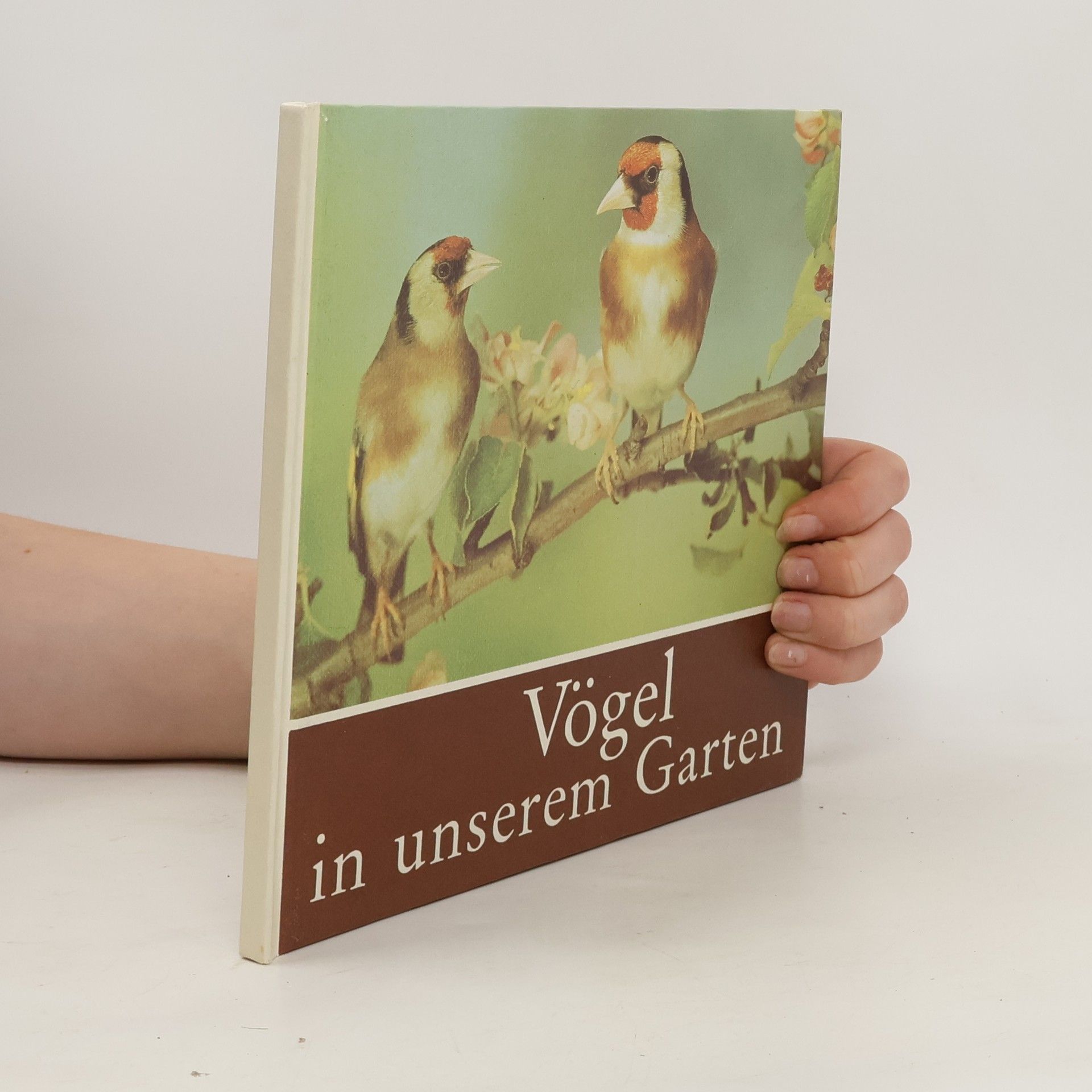 Autorenkollektiv Vögel in unserem Garten