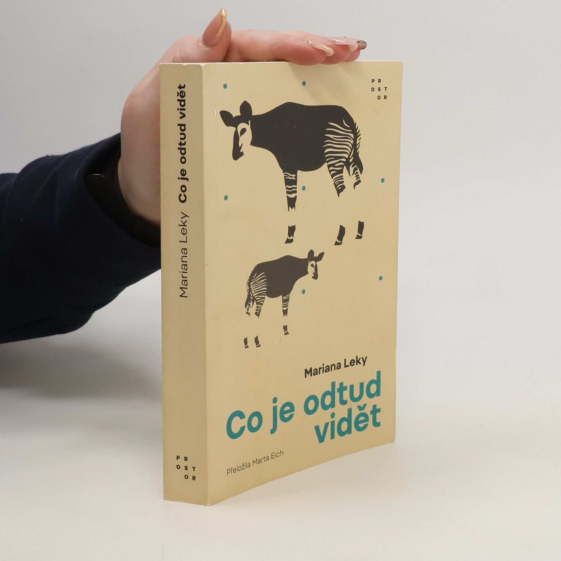 Mariana Leky Co je odtud vidět