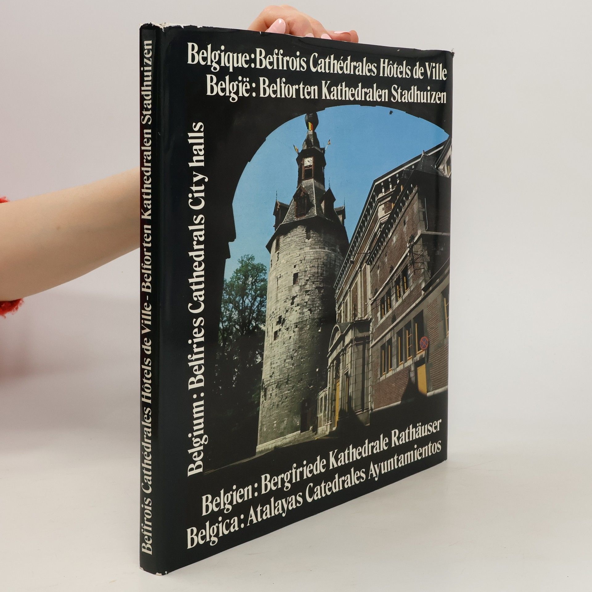 kolektiv Belgique: Beffrois, cathédrales, hôtels de ville. België: Belforten, Kathedralen, Stadhuizen