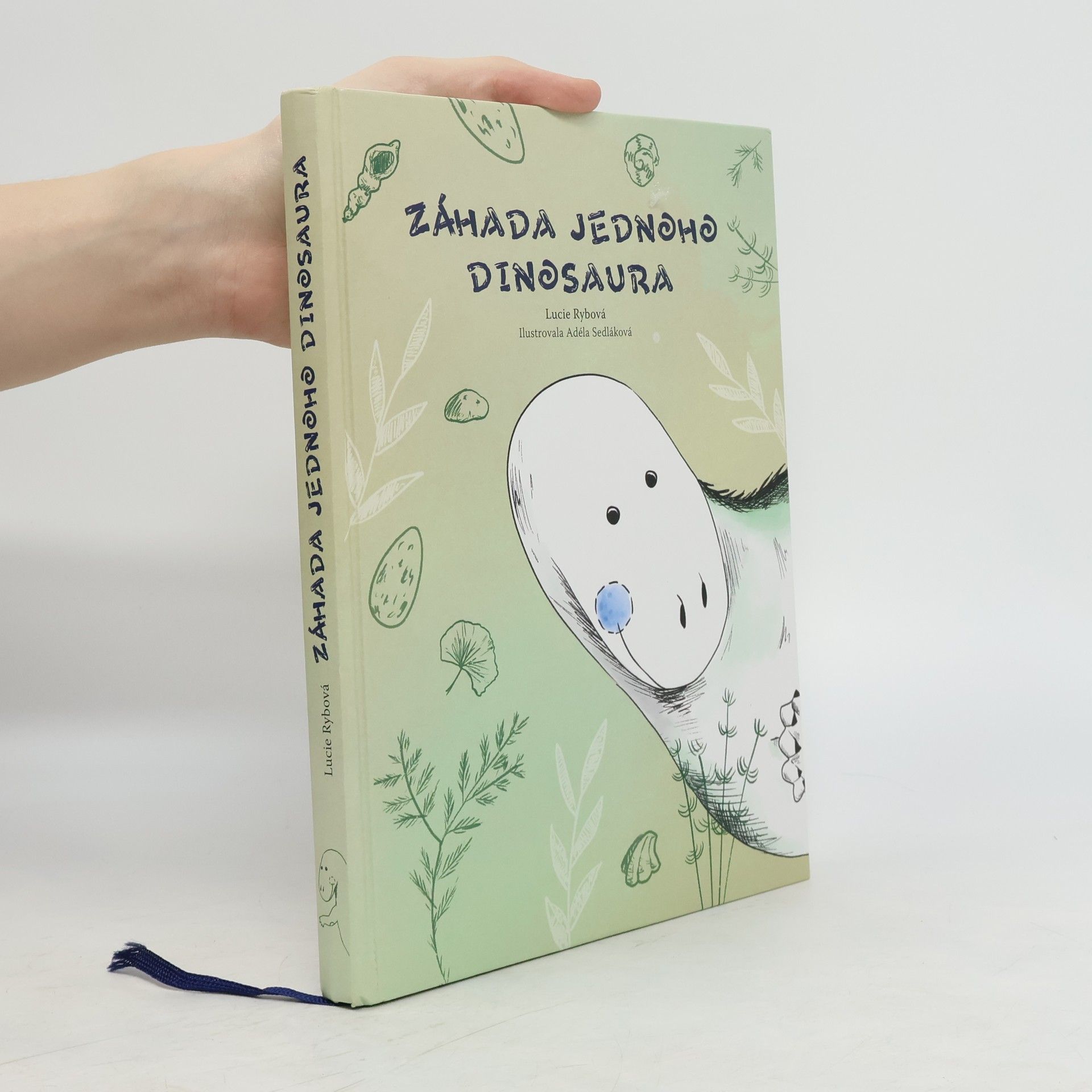 Lucie Rybová Záhada jednoho dinosaura