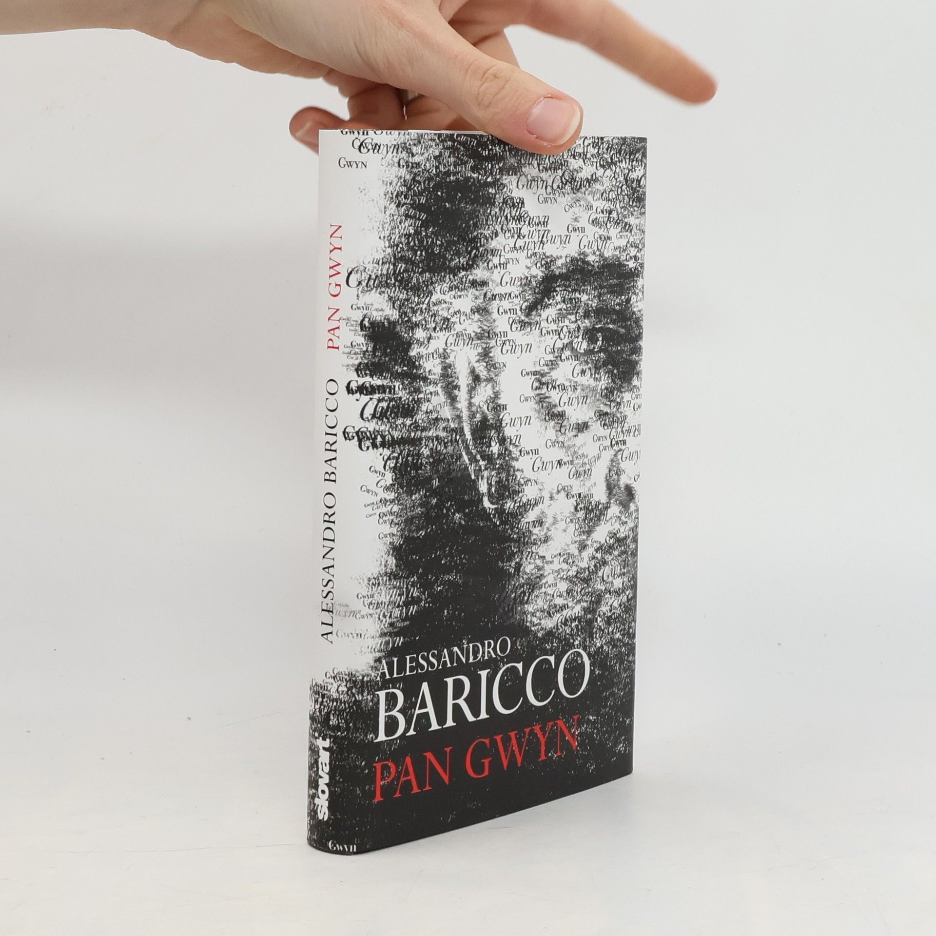 Alessandro Baricco Pan Gwyn