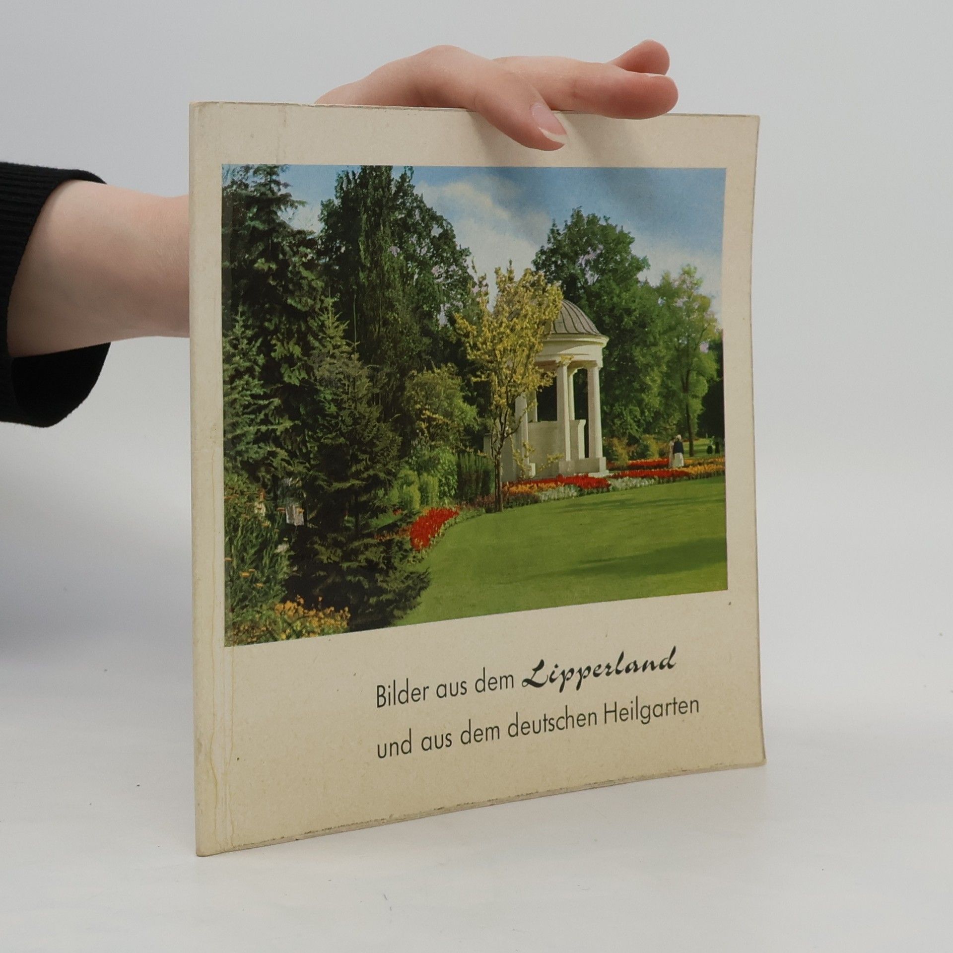 Autorenkollektiv Bilder aus dem Lipperland und aus dem deutschen Heilgarten