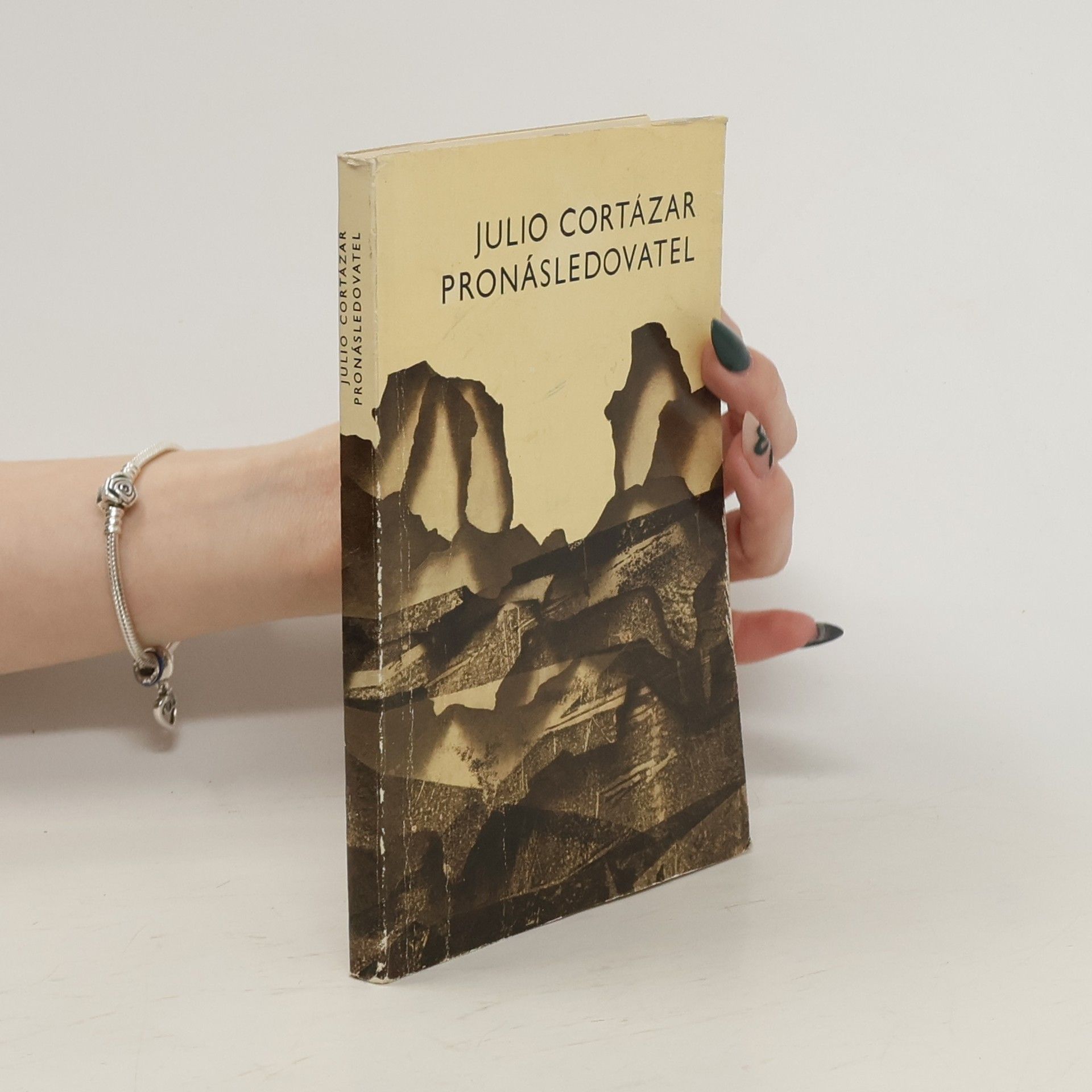 Julio Cortázar Pronásledovatel