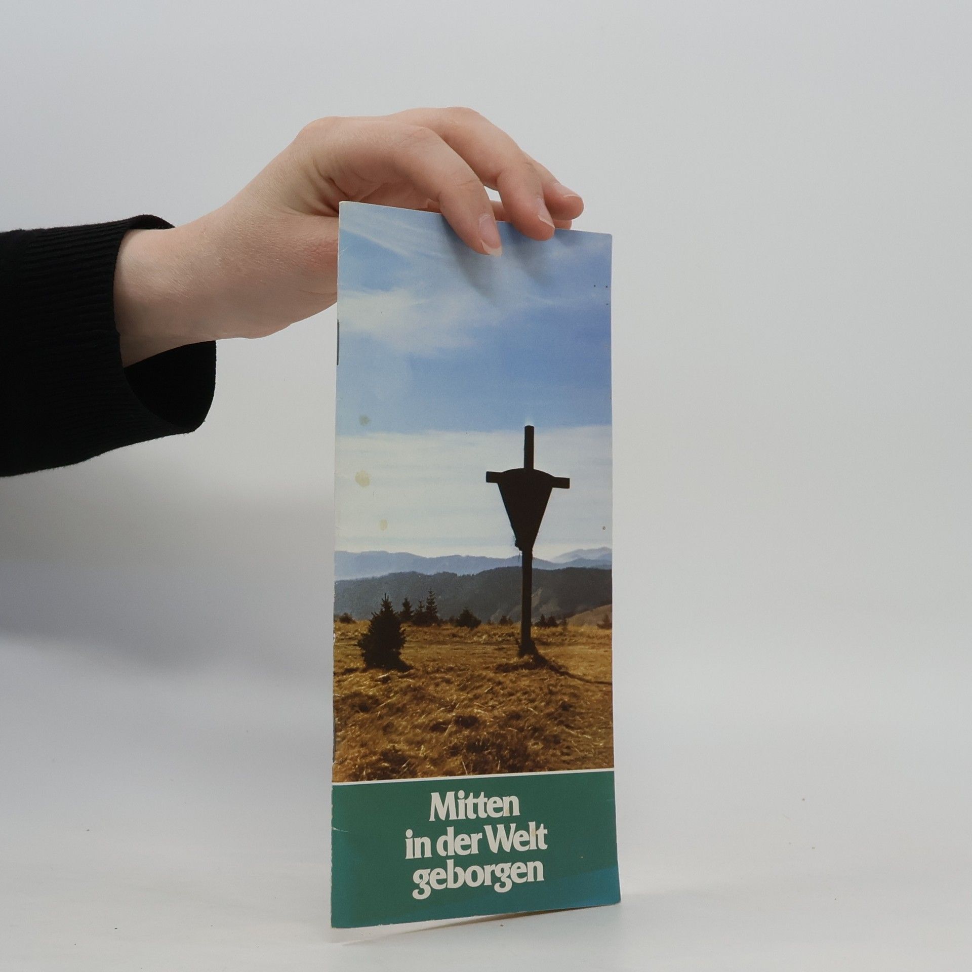 Eduard Haller Mitten in der Welt geborgen